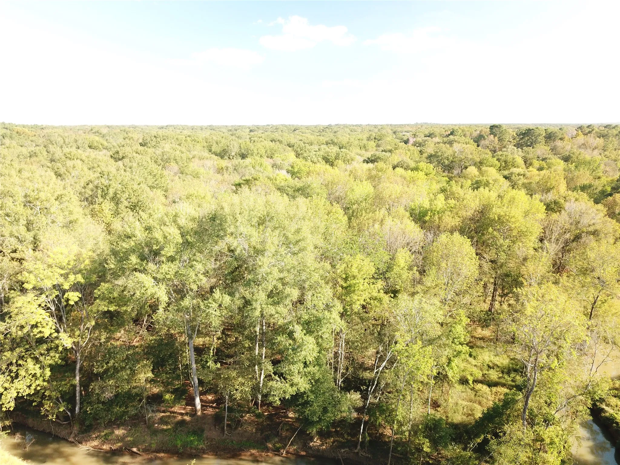Improved Land For Sale in Nacogdoches County , 9795 Highway 59, Nacogdoches, Texas 75964, 0, 0, Garage spaces, 0 Sqft, built in 0, mls#21409363, Real Estate Agent in Nacogdoches, Homes For Sale in Nacogdoches county, Homes For Sale in Nacogdoches, Realtor in Nacogdoches Texas, Real Estate Brokerage Independent Realty Texas, Luminita Cordes Realtor