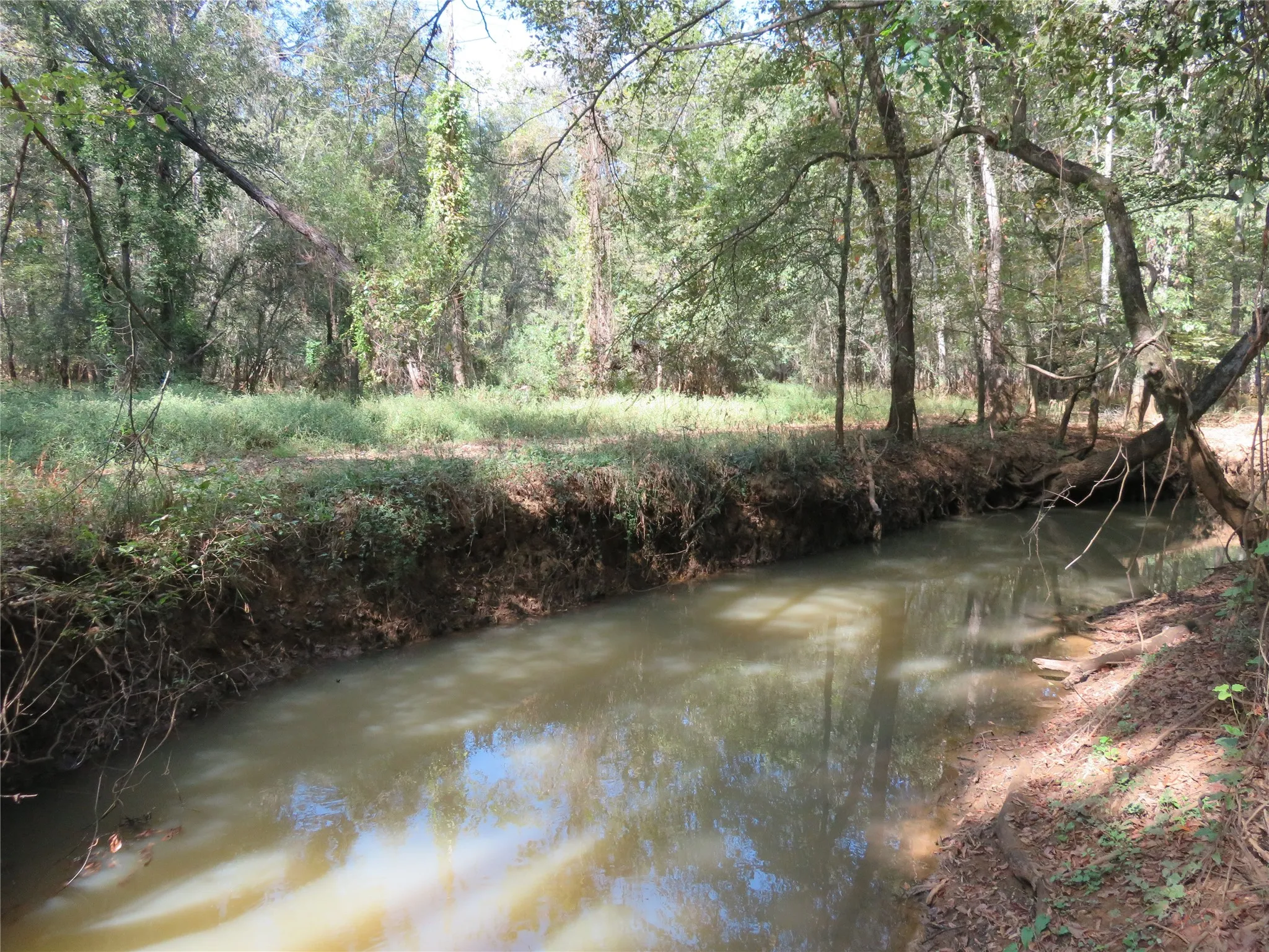 Improved Land For Sale in Nacogdoches County , 9795 Highway 59, Nacogdoches, Texas 75964, 0, 0, Garage spaces, 0 Sqft, built in 0, mls#21409363, Real Estate Agent in Nacogdoches, Homes For Sale in Nacogdoches county, Homes For Sale in Nacogdoches, Realtor in Nacogdoches Texas, Real Estate Brokerage Independent Realty Texas, Luminita Cordes Realtor