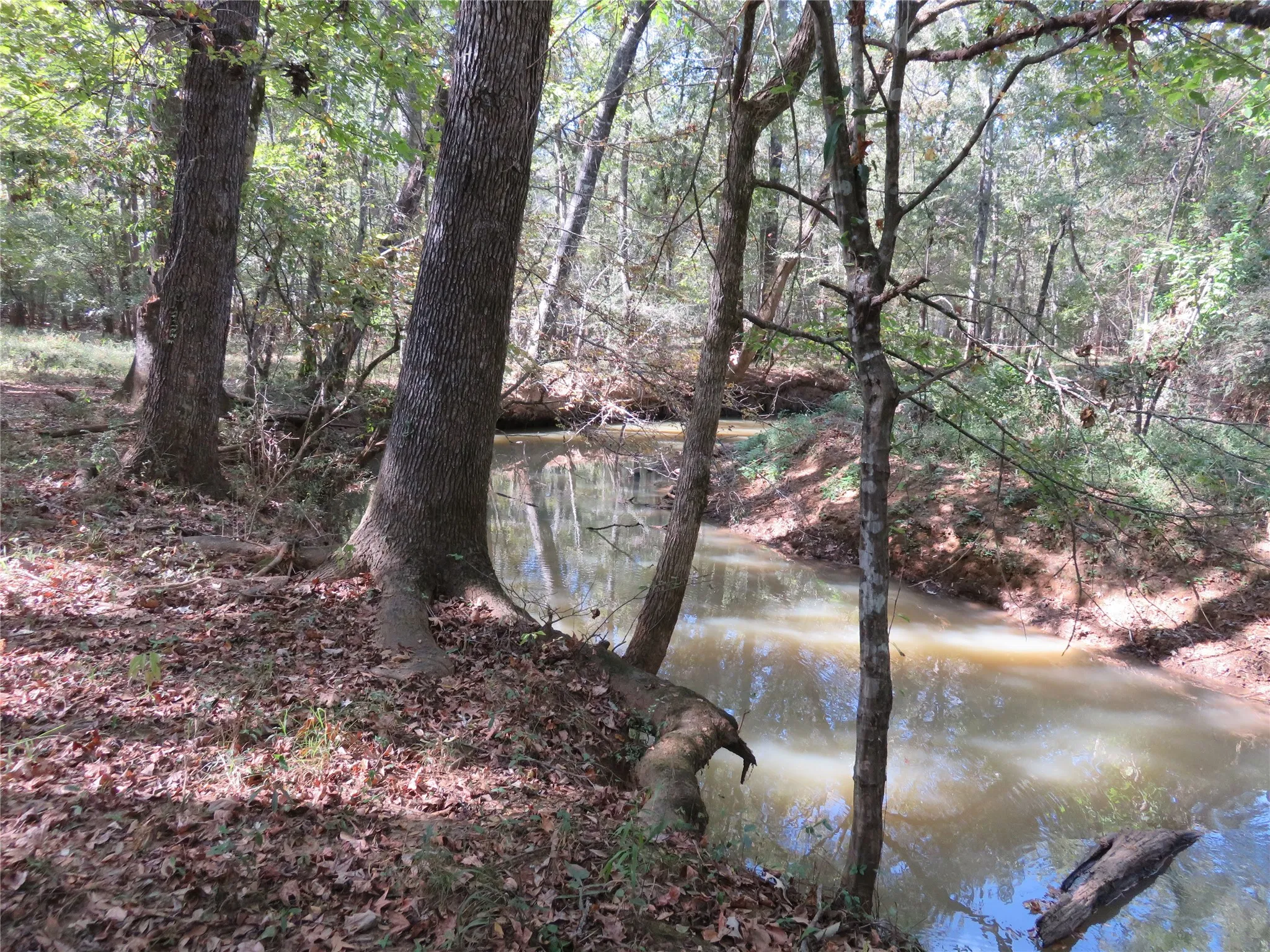 Improved Land For Sale in Nacogdoches County , 9795 Highway 59, Nacogdoches, Texas 75964, 0, 0, Garage spaces, 0 Sqft, built in 0, mls#21409363, Real Estate Agent in Nacogdoches, Homes For Sale in Nacogdoches county, Homes For Sale in Nacogdoches, Realtor in Nacogdoches Texas, Real Estate Brokerage Independent Realty Texas, Luminita Cordes Realtor
