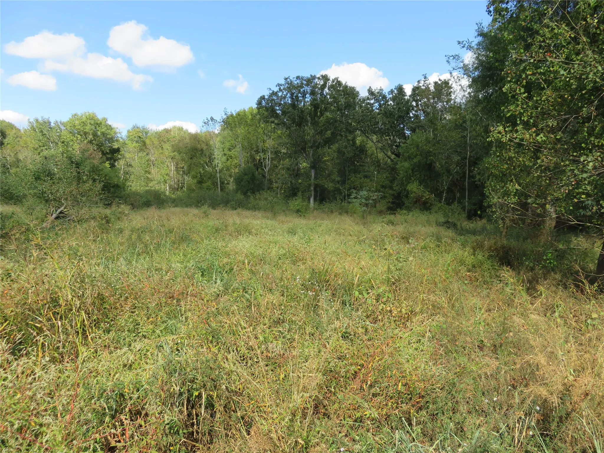 Improved Land For Sale in Nacogdoches County , 9795 Highway 59, Nacogdoches, Texas 75964, 0, 0, Garage spaces, 0 Sqft, built in 0, mls#21409363, Real Estate Agent in Nacogdoches, Homes For Sale in Nacogdoches county, Homes For Sale in Nacogdoches, Realtor in Nacogdoches Texas, Real Estate Brokerage Independent Realty Texas, Luminita Cordes Realtor