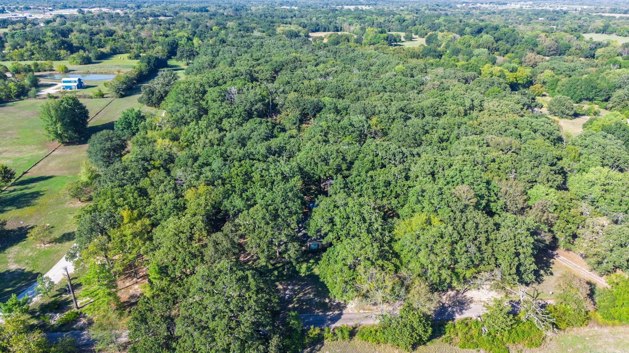 Single Family Residence For Sale in Hunt County , 703 Private Road 3141, Greenville, Texas 75402, 3 Bedroom, 2 Bathroom, 2 Garage spaces, 1,863 Sqft, built in 1980, mls#21409097, Real Estate Agent in Greenville, Homes For Sale in Hunt county, Homes For Sale in Greenville, Realtor in Greenville Texas, Real Estate Brokerage Independent Realty Texas, Luminita Cordes Realtor