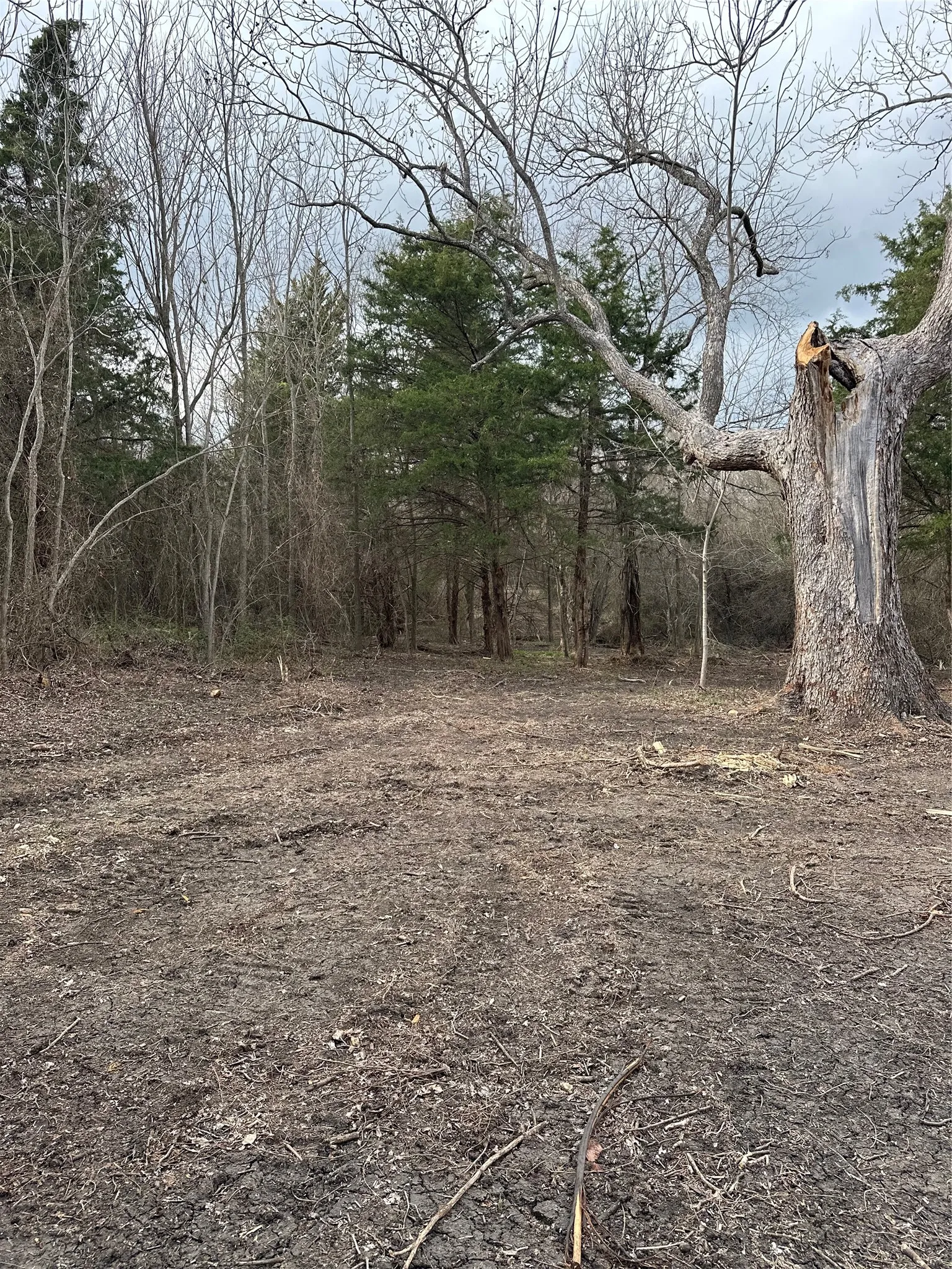Unimproved Land For Sale in Ellis County , TBD Sandswitch Road, Ennis, Texas 75119, 0, 0, Garage spaces, 0 Sqft, built in 0, mls#21409436, Real Estate Agent in Ennis, Homes For Sale in Ellis county, Homes For Sale in Ennis, Realtor in Ennis Texas, Real Estate Brokerage Independent Realty Texas, Luminita Cordes Realtor
