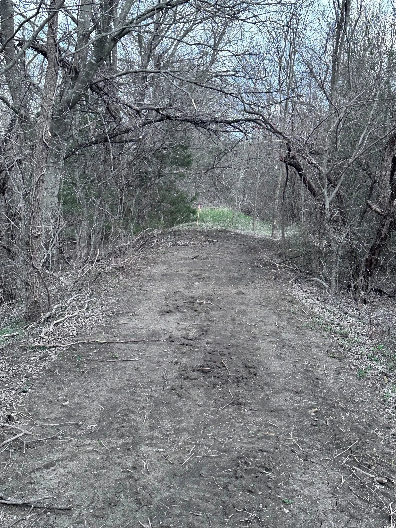 Unimproved Land For Sale in Ellis County , TBD Sandswitch Road, Ennis, Texas 75119, 0, 0, Garage spaces, 0 Sqft, built in 0, mls#21409436, Real Estate Agent in Ennis, Homes For Sale in Ellis county, Homes For Sale in Ennis, Realtor in Ennis Texas, Real Estate Brokerage Independent Realty Texas, Luminita Cordes Realtor