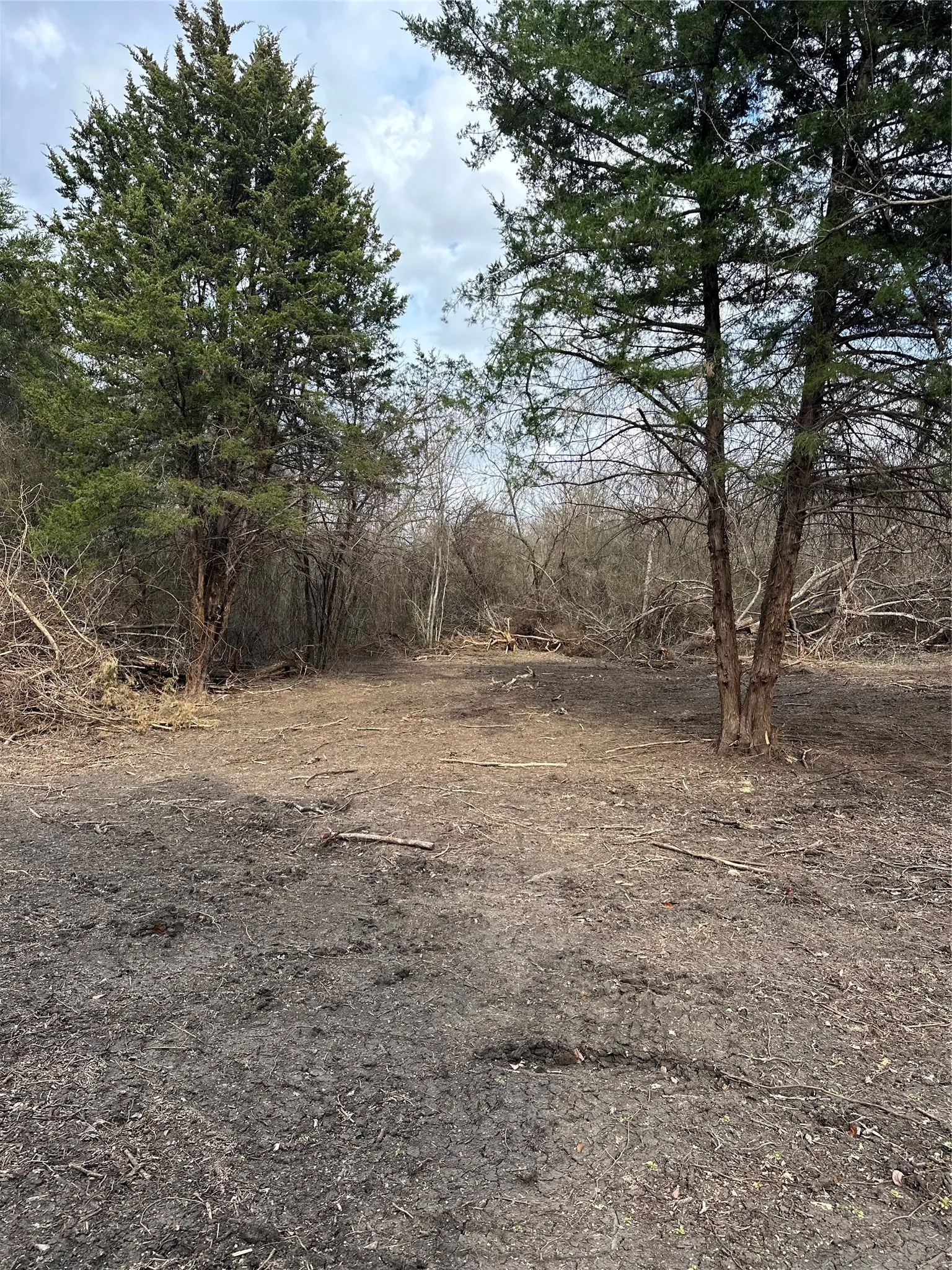 Unimproved Land For Sale in Ellis County , TBD Sandswitch Road, Ennis, Texas 75119, 0, 0, Garage spaces, 0 Sqft, built in 0, mls#21409436, Real Estate Agent in Ennis, Homes For Sale in Ellis county, Homes For Sale in Ennis, Realtor in Ennis Texas, Real Estate Brokerage Independent Realty Texas, Luminita Cordes Realtor