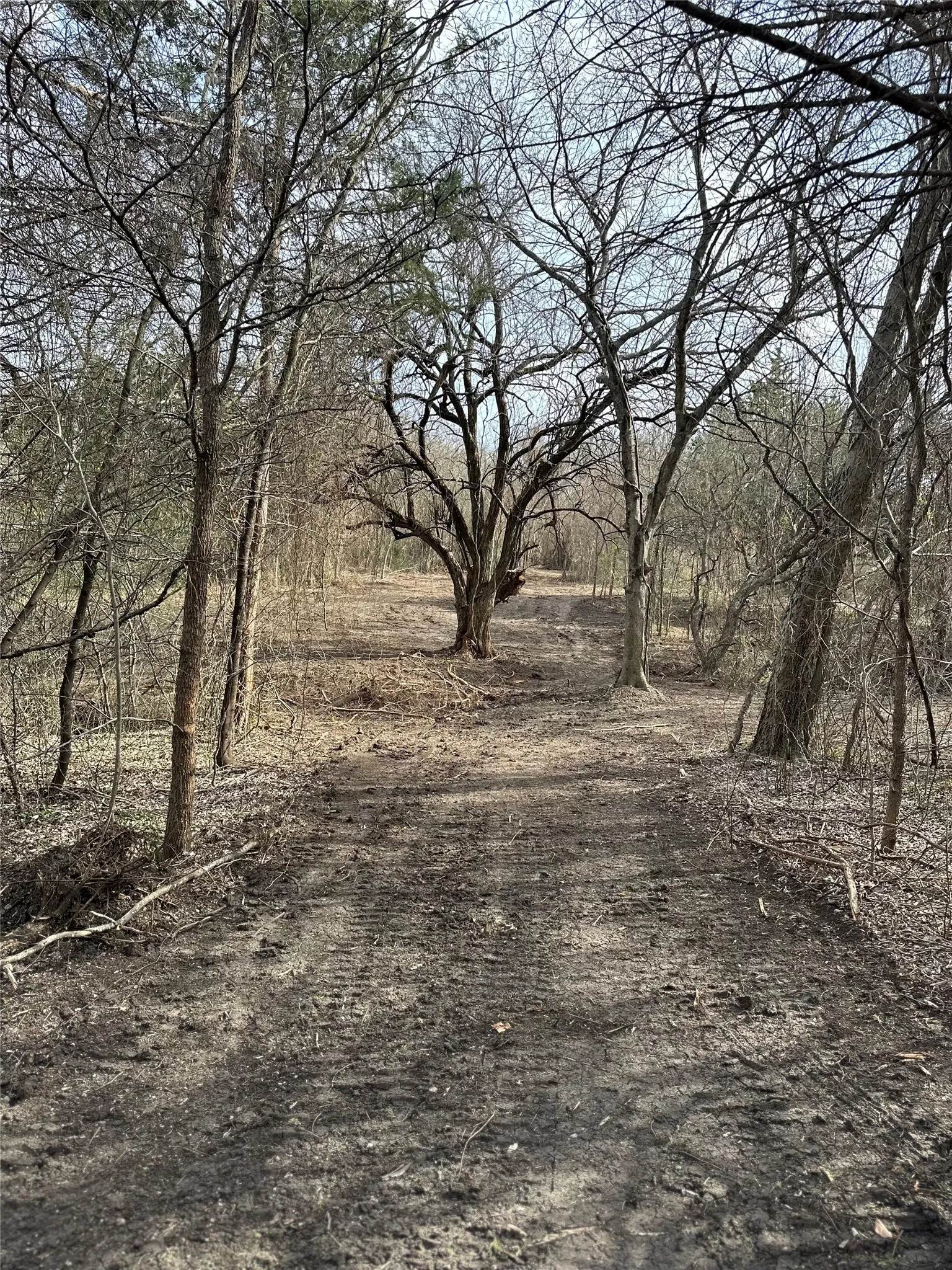 Unimproved Land For Sale in Ellis County , TBD Sandswitch Road, Ennis, Texas 75119, 0, 0, Garage spaces, 0 Sqft, built in 0, mls#21409436, Real Estate Agent in Ennis, Homes For Sale in Ellis county, Homes For Sale in Ennis, Realtor in Ennis Texas, Real Estate Brokerage Independent Realty Texas, Luminita Cordes Realtor