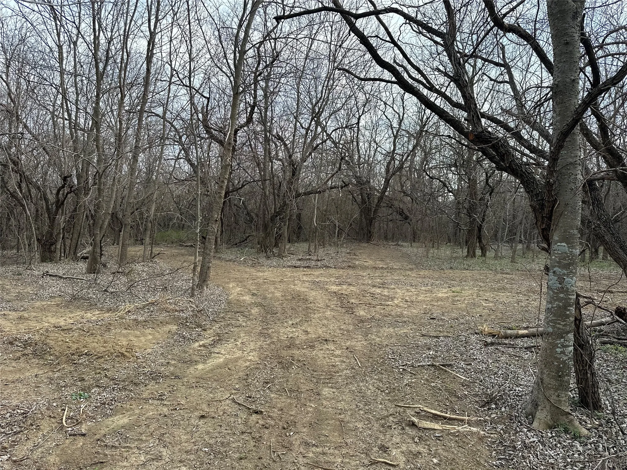 Unimproved Land For Sale in Ellis County , TBD Sandswitch Road, Ennis, Texas 75119, 0, 0, Garage spaces, 0 Sqft, built in 0, mls#21409436, Real Estate Agent in Ennis, Homes For Sale in Ellis county, Homes For Sale in Ennis, Realtor in Ennis Texas, Real Estate Brokerage Independent Realty Texas, Luminita Cordes Realtor