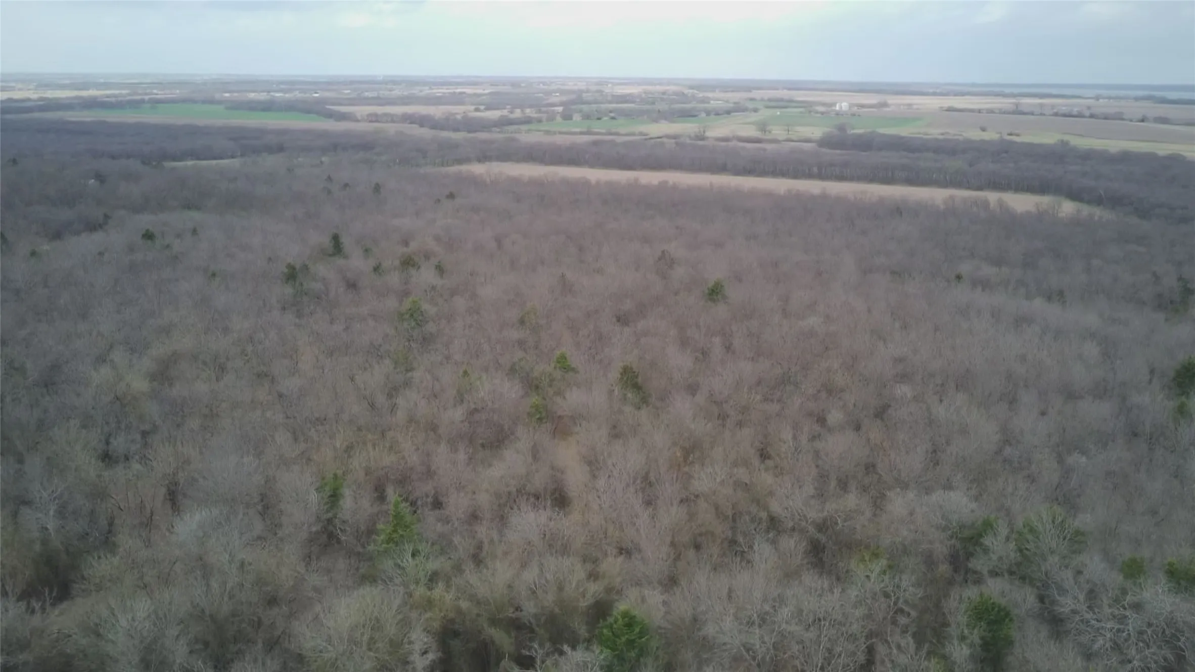 Unimproved Land For Sale in Ellis County , TBD Sandswitch Road, Ennis, Texas 75119, 0, 0, Garage spaces, 0 Sqft, built in 0, mls#21409436, Real Estate Agent in Ennis, Homes For Sale in Ellis county, Homes For Sale in Ennis, Realtor in Ennis Texas, Real Estate Brokerage Independent Realty Texas, Luminita Cordes Realtor