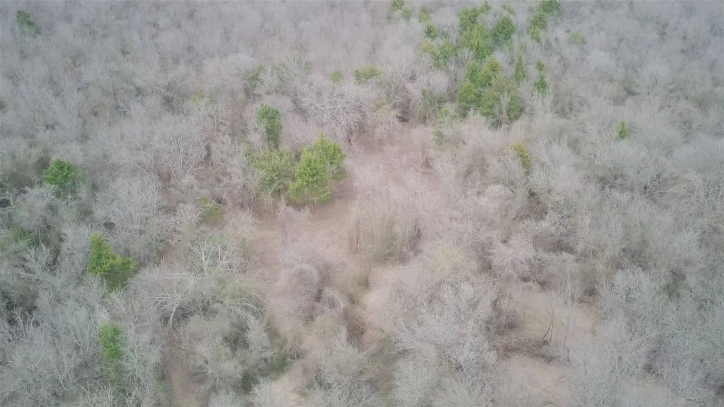 Unimproved Land For Sale in Ellis County , TBD Sandswitch Road, Ennis, Texas 75119, 0, 0, Garage spaces, 0 Sqft, built in 0, mls#21409436, Real Estate Agent in Ennis, Homes For Sale in Ellis county, Homes For Sale in Ennis, Realtor in Ennis Texas, Real Estate Brokerage Independent Realty Texas, Luminita Cordes Realtor
