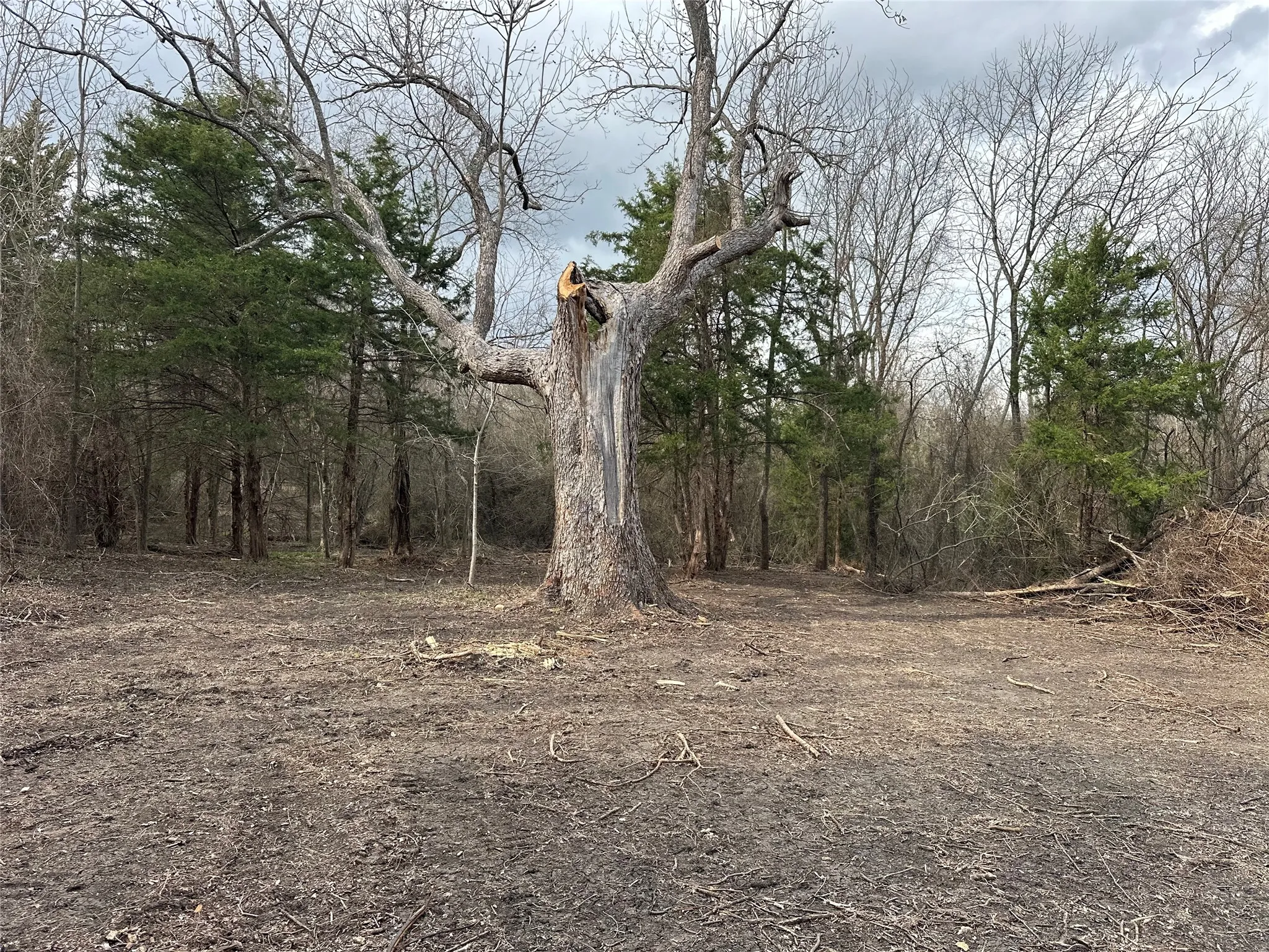 Unimproved Land For Sale in Ellis County , TBD Sandswitch Road, Ennis, Texas 75119, 0, 0, Garage spaces, 0 Sqft, built in 0, mls#21409436, Real Estate Agent in Ennis, Homes For Sale in Ellis county, Homes For Sale in Ennis, Realtor in Ennis Texas, Real Estate Brokerage Independent Realty Texas, Luminita Cordes Realtor