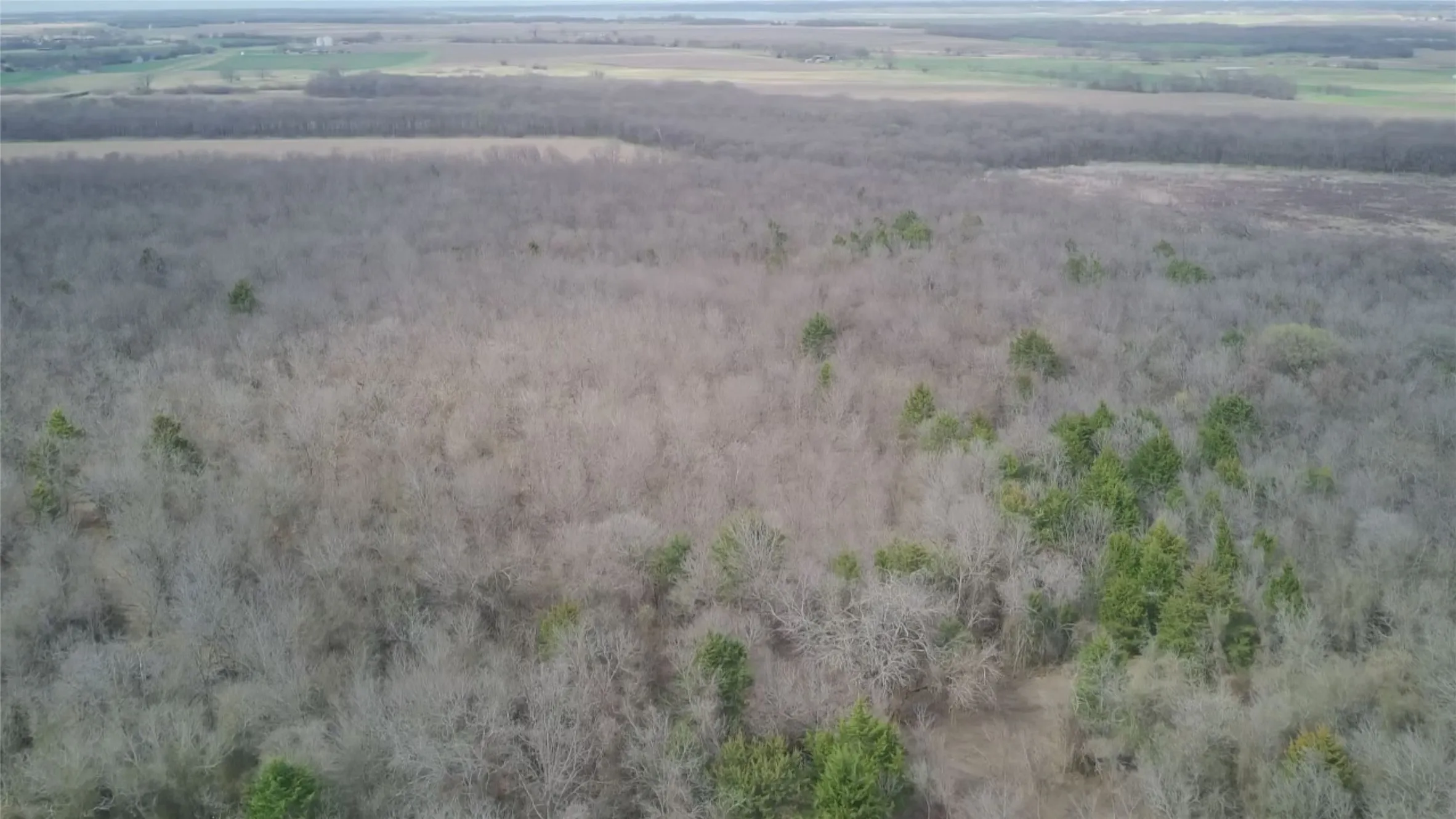 Unimproved Land For Sale in Ellis County , TBD Sandswitch Road, Ennis, Texas 75119, 0, 0, Garage spaces, 0 Sqft, built in 0, mls#21409436, Real Estate Agent in Ennis, Homes For Sale in Ellis county, Homes For Sale in Ennis, Realtor in Ennis Texas, Real Estate Brokerage Independent Realty Texas, Luminita Cordes Realtor