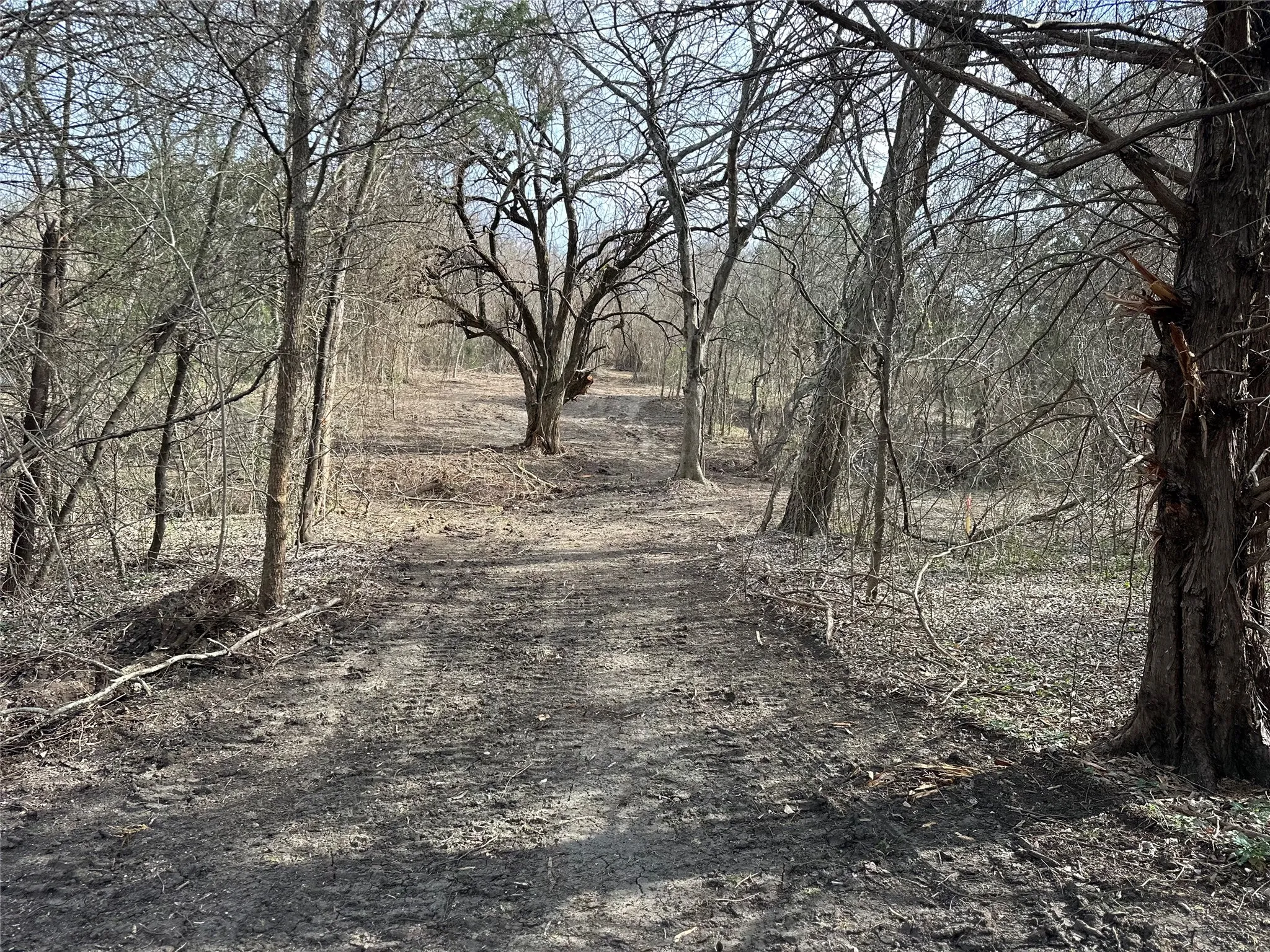 Unimproved Land For Sale in Ellis County , TBD Sandswitch Road, Ennis, Texas 75119, 0, 0, Garage spaces, 0 Sqft, built in 0, mls#21409436, Real Estate Agent in Ennis, Homes For Sale in Ellis county, Homes For Sale in Ennis, Realtor in Ennis Texas, Real Estate Brokerage Independent Realty Texas, Luminita Cordes Realtor