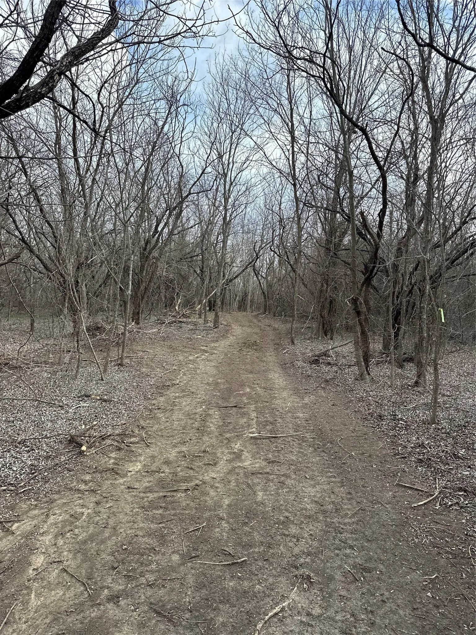 Unimproved Land For Sale in Ellis County , TBD Sandswitch Road, Ennis, Texas 75119, 0, 0, Garage spaces, 0 Sqft, built in 0, mls#21409436, Real Estate Agent in Ennis, Homes For Sale in Ellis county, Homes For Sale in Ennis, Realtor in Ennis Texas, Real Estate Brokerage Independent Realty Texas, Luminita Cordes Realtor