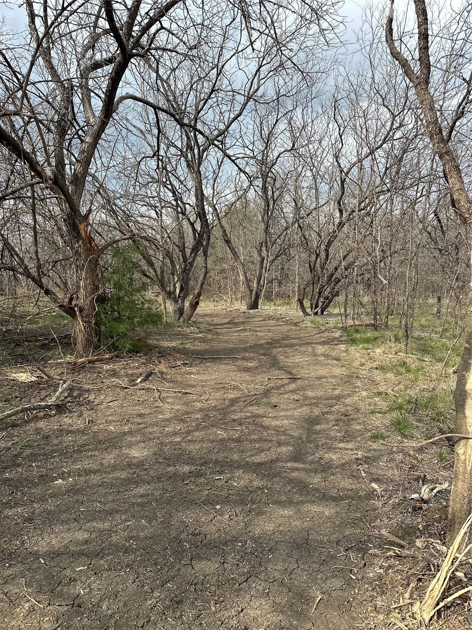 Unimproved Land For Sale in Ellis County , TBD Sandswitch Road, Ennis, Texas 75119, 0, 0, Garage spaces, 0 Sqft, built in 0, mls#21409436, Real Estate Agent in Ennis, Homes For Sale in Ellis county, Homes For Sale in Ennis, Realtor in Ennis Texas, Real Estate Brokerage Independent Realty Texas, Luminita Cordes Realtor