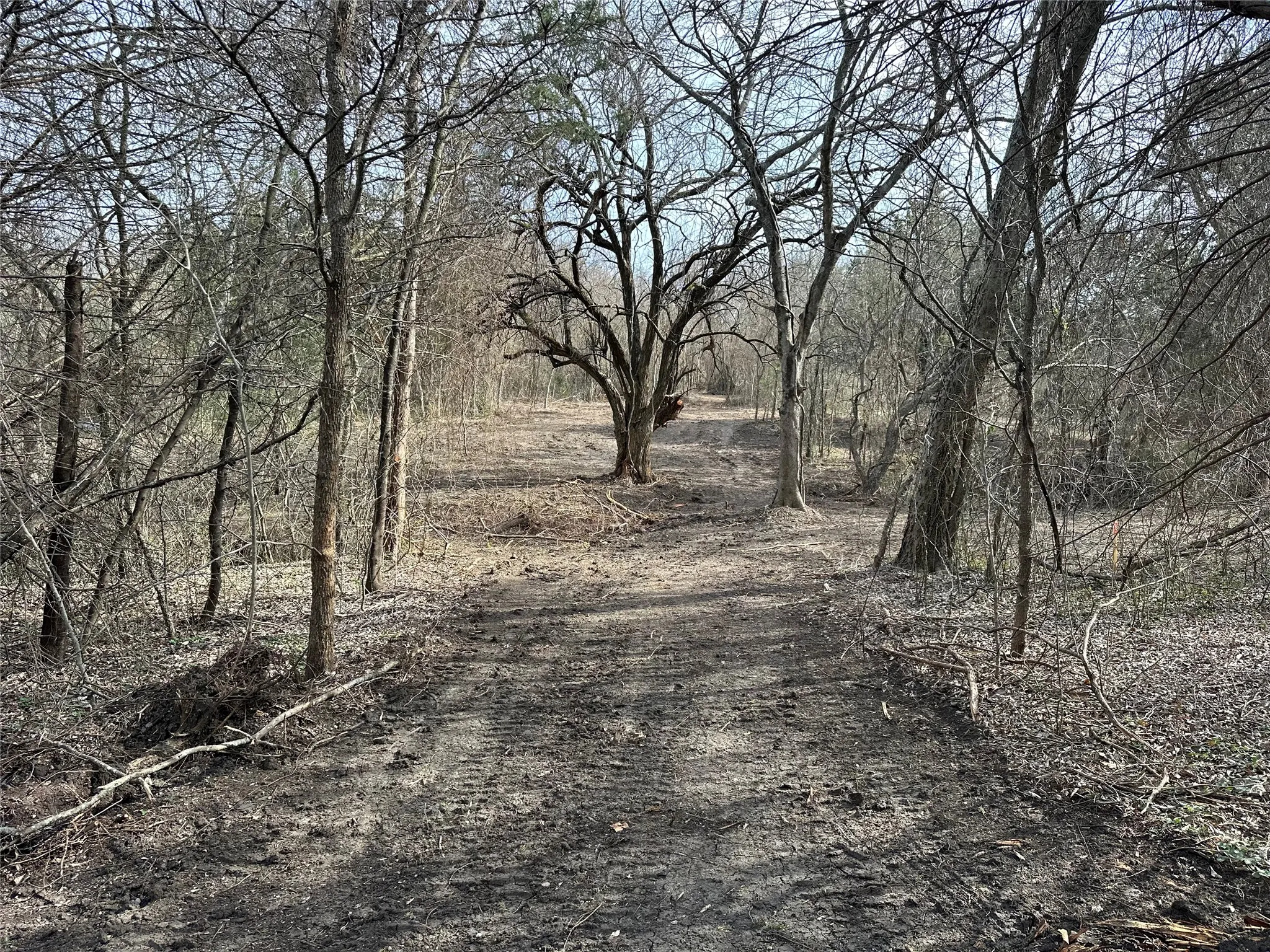 Unimproved Land For Sale in Ellis County , TBD Sandswitch Road, Ennis, Texas 75119, 0, 0, Garage spaces, 0 Sqft, built in 0, mls#21409436, Real Estate Agent in Ennis, Homes For Sale in Ellis county, Homes For Sale in Ennis, Realtor in Ennis Texas, Real Estate Brokerage Independent Realty Texas, Luminita Cordes Realtor