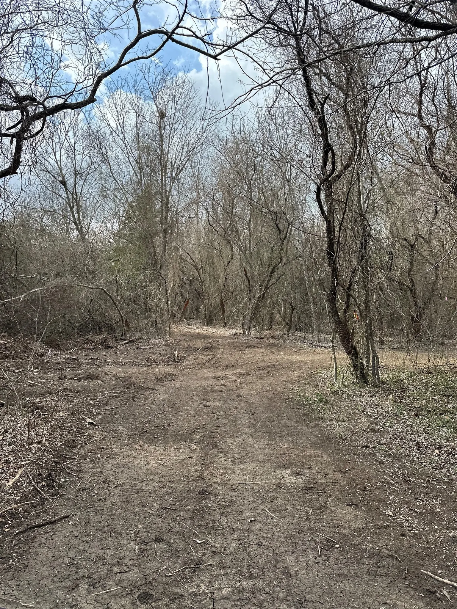Unimproved Land For Sale in Ellis County , TBD Sandswitch Road, Ennis, Texas 75119, 0, 0, Garage spaces, 0 Sqft, built in 0, mls#21409436, Real Estate Agent in Ennis, Homes For Sale in Ellis county, Homes For Sale in Ennis, Realtor in Ennis Texas, Real Estate Brokerage Independent Realty Texas, Luminita Cordes Realtor