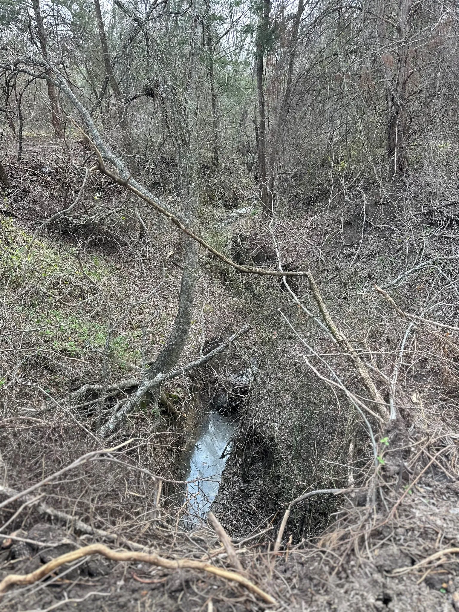Unimproved Land For Sale in Ellis County , TBD Sandswitch Road, Ennis, Texas 75119, 0, 0, Garage spaces, 0 Sqft, built in 0, mls#21409436, Real Estate Agent in Ennis, Homes For Sale in Ellis county, Homes For Sale in Ennis, Realtor in Ennis Texas, Real Estate Brokerage Independent Realty Texas, Luminita Cordes Realtor