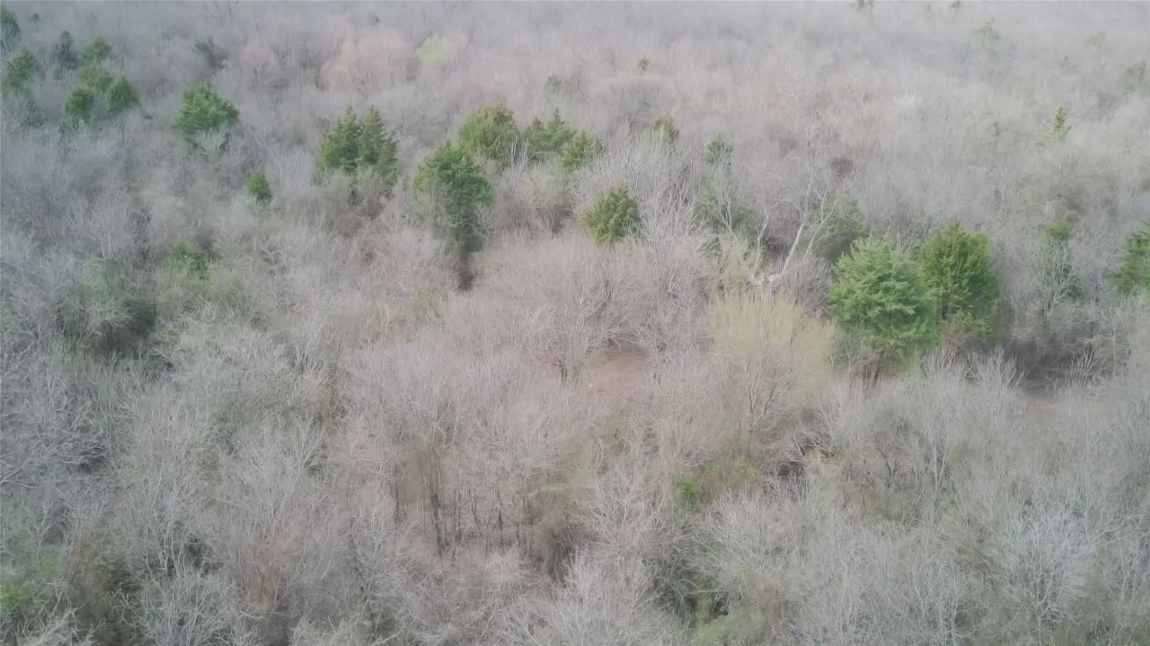 Unimproved Land For Sale in Ellis County , TBD Sandswitch Road, Ennis, Texas 75119, 0, 0, Garage spaces, 0 Sqft, built in 0, mls#21409436, Real Estate Agent in Ennis, Homes For Sale in Ellis county, Homes For Sale in Ennis, Realtor in Ennis Texas, Real Estate Brokerage Independent Realty Texas, Luminita Cordes Realtor