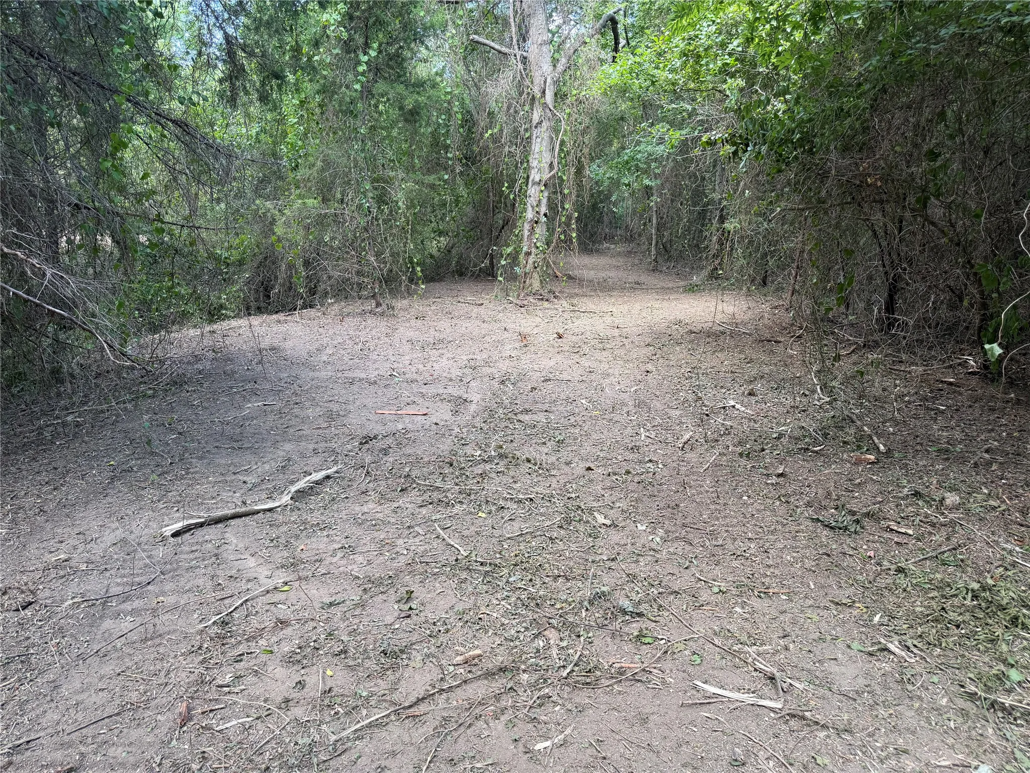 Unimproved Land For Sale in Ellis County , TBD Sandswitch Road, Ennis, Texas 75119, 0, 0, Garage spaces, 0 Sqft, built in 0, mls#21409436, Real Estate Agent in Ennis, Homes For Sale in Ellis county, Homes For Sale in Ennis, Realtor in Ennis Texas, Real Estate Brokerage Independent Realty Texas, Luminita Cordes Realtor