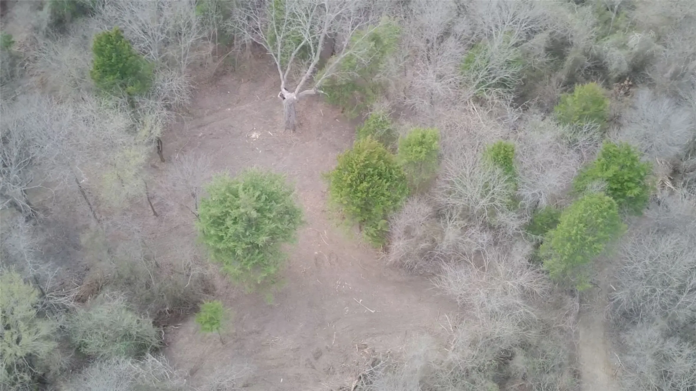 Unimproved Land For Sale in Ellis County , TBD Sandswitch Road, Ennis, Texas 75119, 0, 0, Garage spaces, 0 Sqft, built in 0, mls#21409436, Real Estate Agent in Ennis, Homes For Sale in Ellis county, Homes For Sale in Ennis, Realtor in Ennis Texas, Real Estate Brokerage Independent Realty Texas, Luminita Cordes Realtor