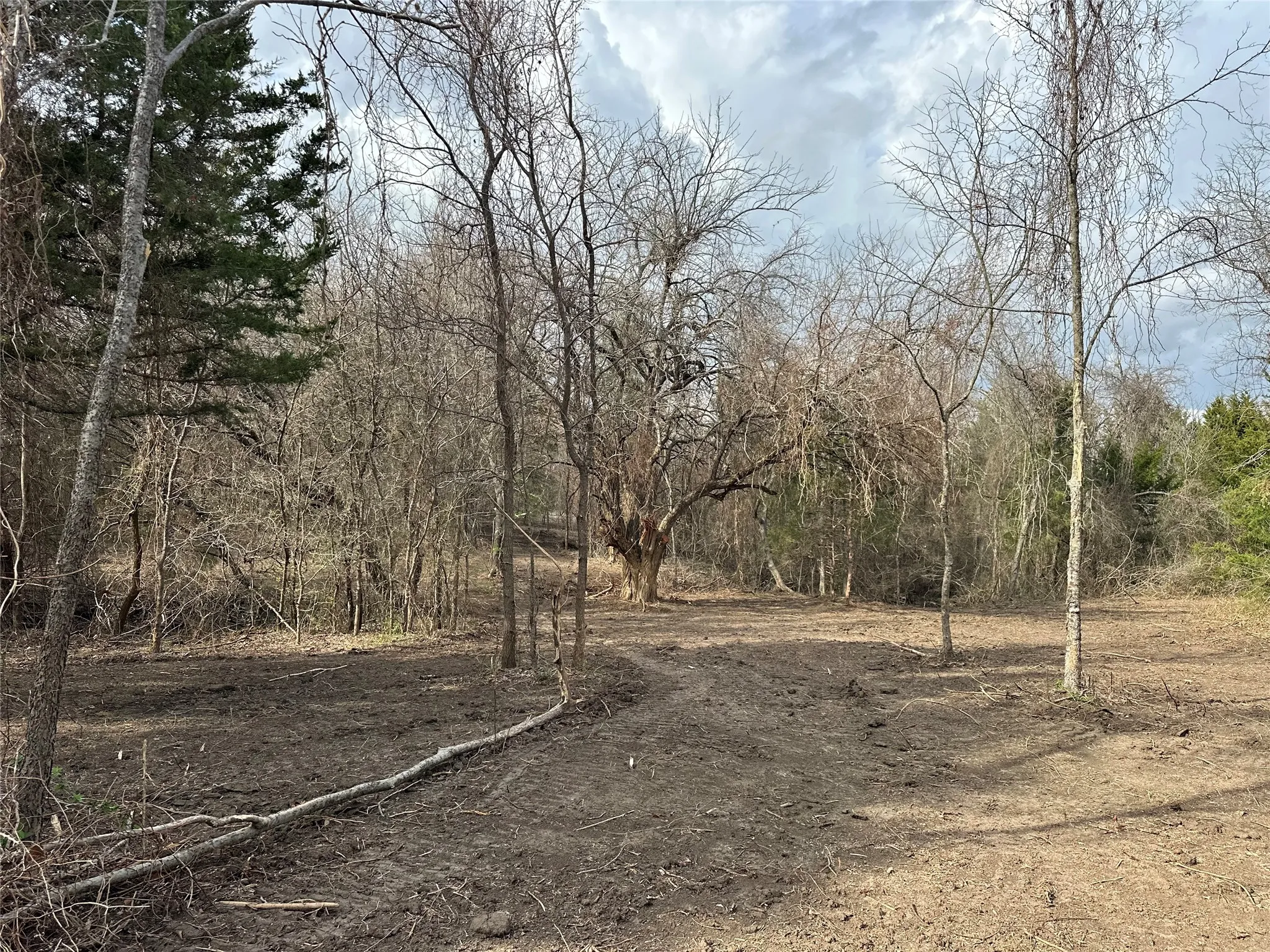 Unimproved Land For Sale in Ellis County , TBD Sandswitch Road, Ennis, Texas 75119, 0, 0, Garage spaces, 0 Sqft, built in 0, mls#21409436, Real Estate Agent in Ennis, Homes For Sale in Ellis county, Homes For Sale in Ennis, Realtor in Ennis Texas, Real Estate Brokerage Independent Realty Texas, Luminita Cordes Realtor