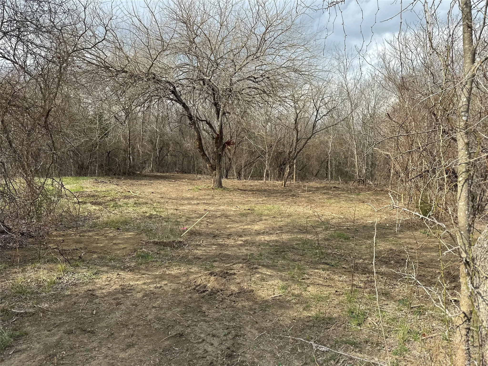 Unimproved Land For Sale in Ellis County , TBD Sandswitch Road, Ennis, Texas 75119, 0, 0, Garage spaces, 0 Sqft, built in 0, mls#21409436, Real Estate Agent in Ennis, Homes For Sale in Ellis county, Homes For Sale in Ennis, Realtor in Ennis Texas, Real Estate Brokerage Independent Realty Texas, Luminita Cordes Realtor