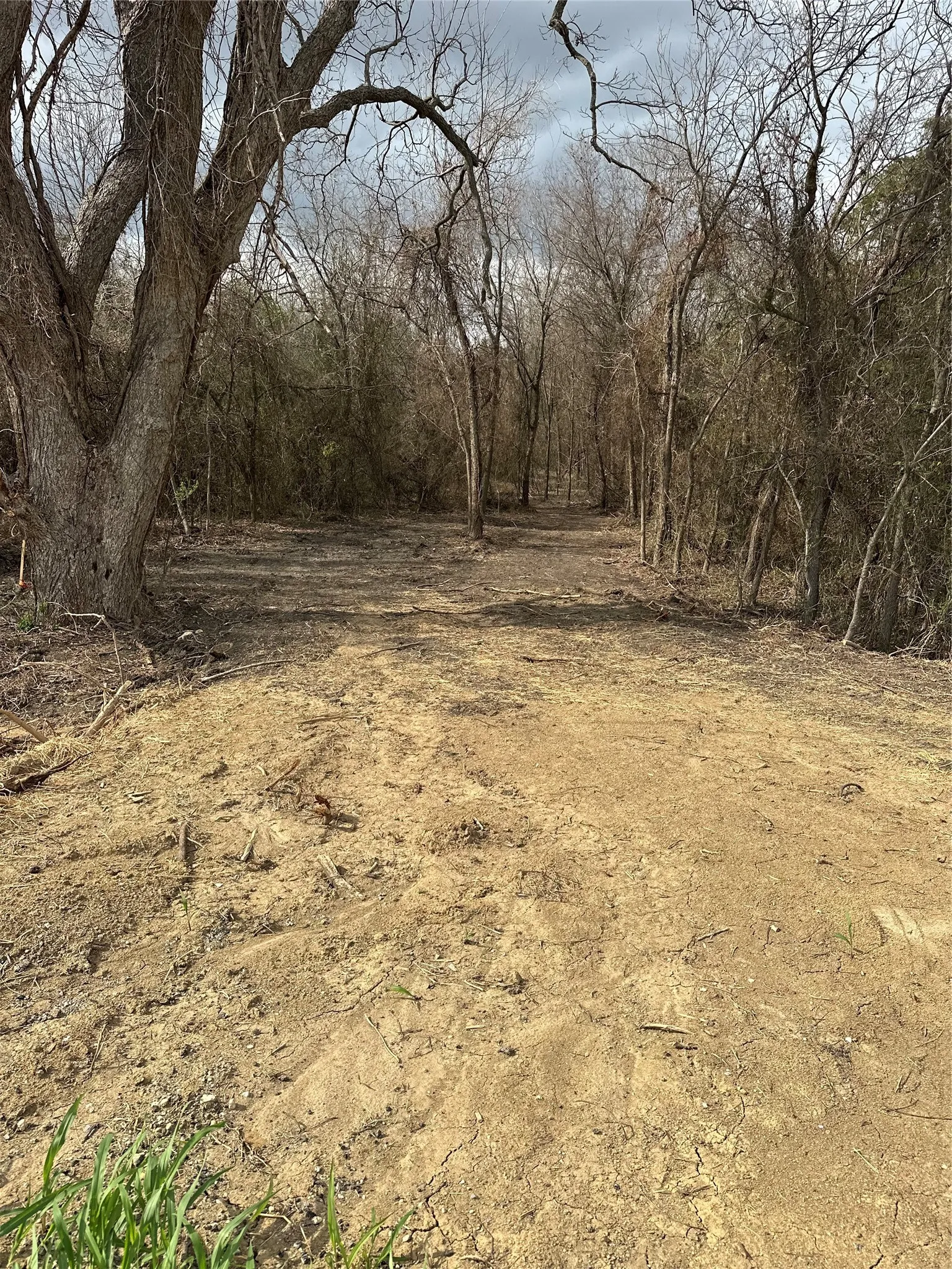 Unimproved Land For Sale in Ellis County , TBD Sandswitch Road, Ennis, Texas 75119, 0, 0, Garage spaces, 0 Sqft, built in 0, mls#21409436, Real Estate Agent in Ennis, Homes For Sale in Ellis county, Homes For Sale in Ennis, Realtor in Ennis Texas, Real Estate Brokerage Independent Realty Texas, Luminita Cordes Realtor