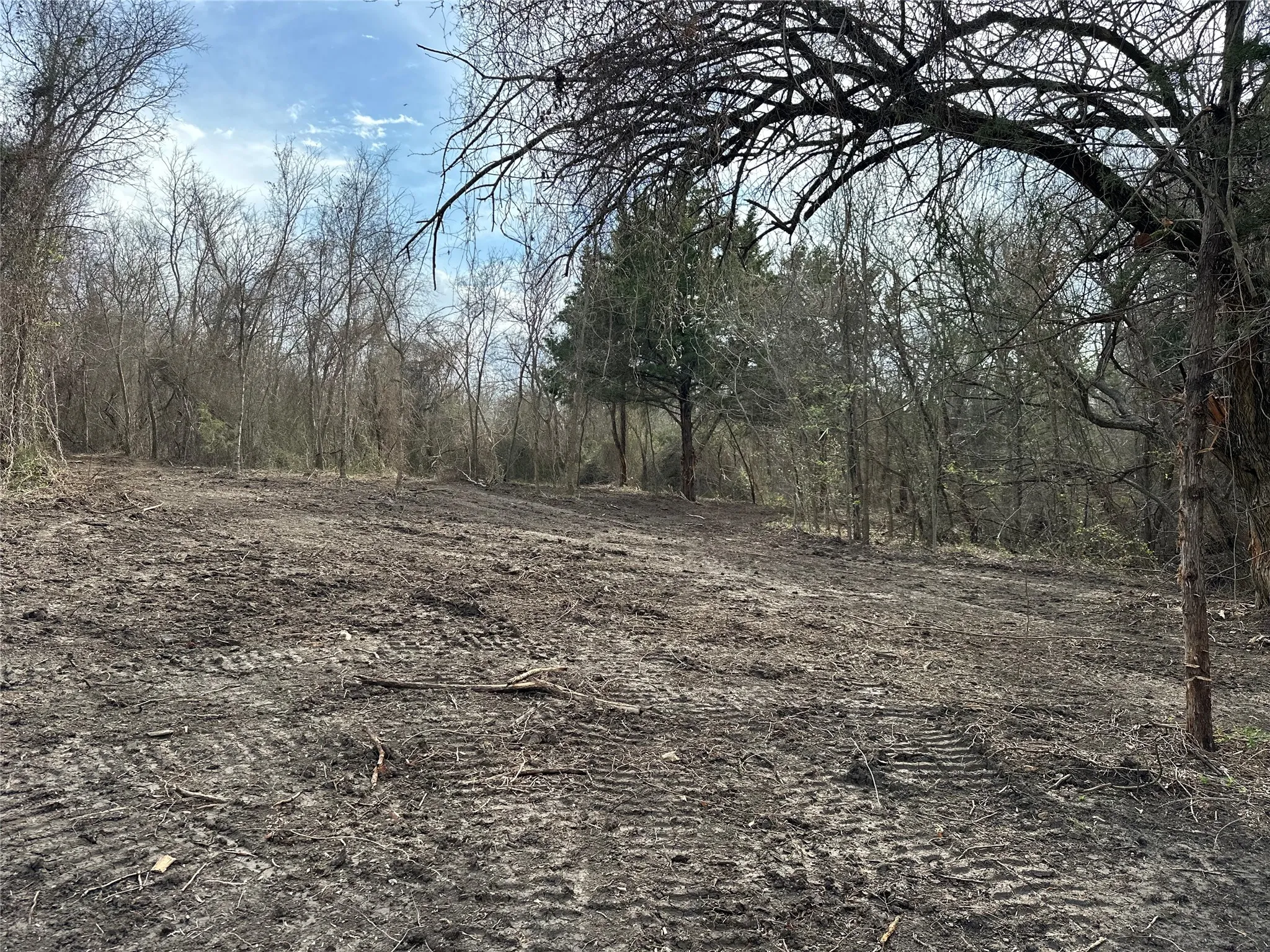 Unimproved Land For Sale in Ellis County , TBD Sandswitch Road, Ennis, Texas 75119, 0, 0, Garage spaces, 0 Sqft, built in 0, mls#21409436, Real Estate Agent in Ennis, Homes For Sale in Ellis county, Homes For Sale in Ennis, Realtor in Ennis Texas, Real Estate Brokerage Independent Realty Texas, Luminita Cordes Realtor