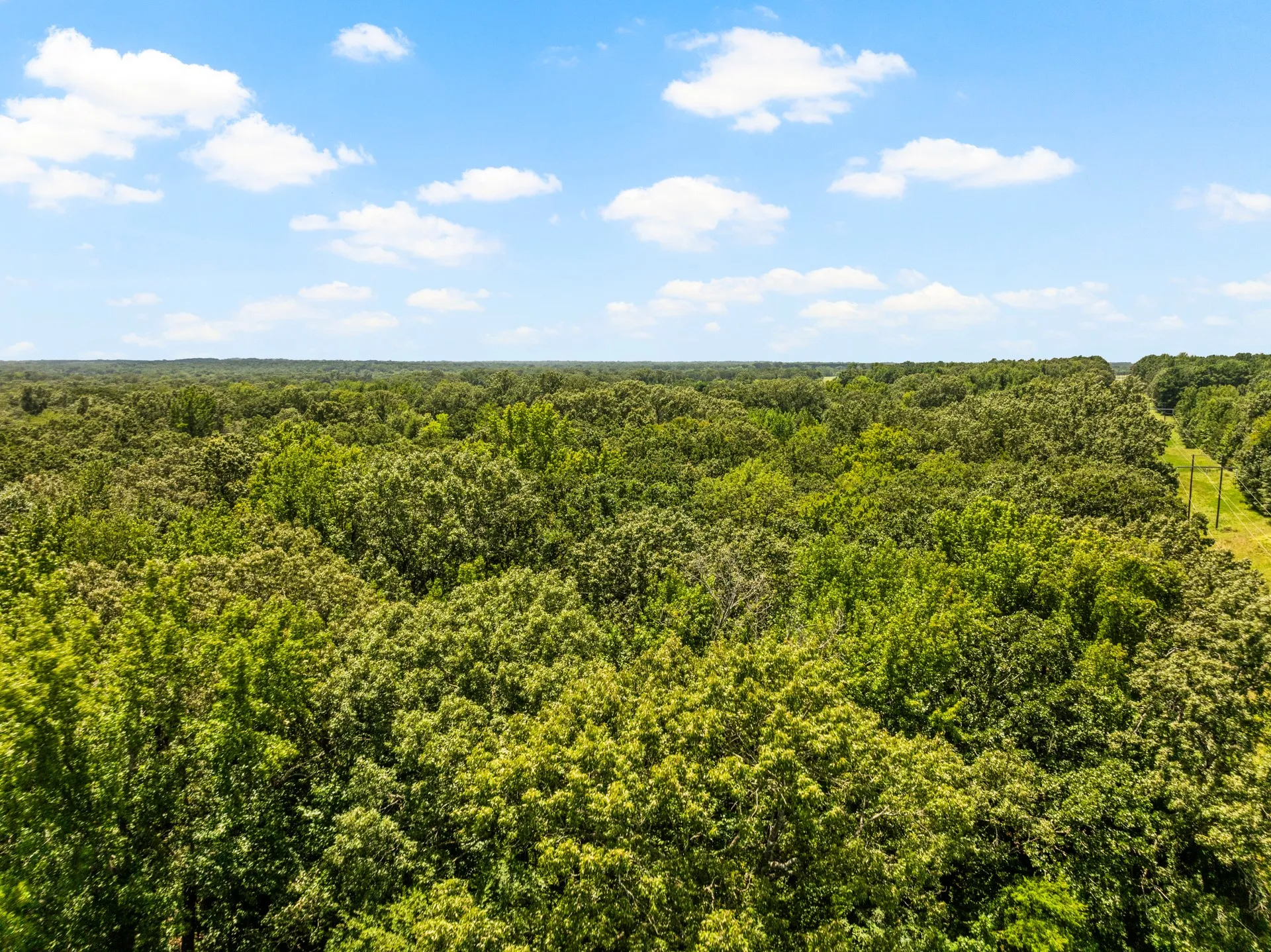 Unimproved Land For Sale in Titus County , TBD Interstate 30 TR 1, Cookville, Texas 75558, 0, 0, Garage spaces, 0 Sqft, built in 0, mls#21409433, Real Estate Agent in Cookville, Homes For Sale in Titus county, Homes For Sale in Cookville, Realtor in Cookville Texas, Real Estate Brokerage Independent Realty Texas, Luminita Cordes Realtor