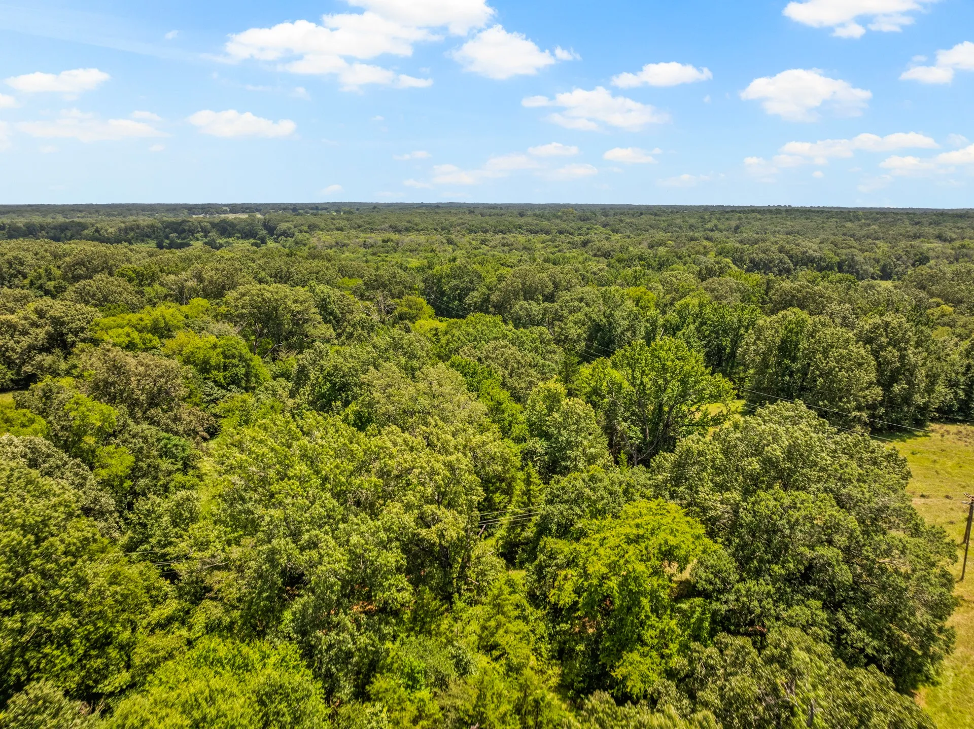 Unimproved Land For Sale in Titus County , TBD Interstate 30 TR 1, Cookville, Texas 75558, 0, 0, Garage spaces, 0 Sqft, built in 0, mls#21409433, Real Estate Agent in Cookville, Homes For Sale in Titus county, Homes For Sale in Cookville, Realtor in Cookville Texas, Real Estate Brokerage Independent Realty Texas, Luminita Cordes Realtor