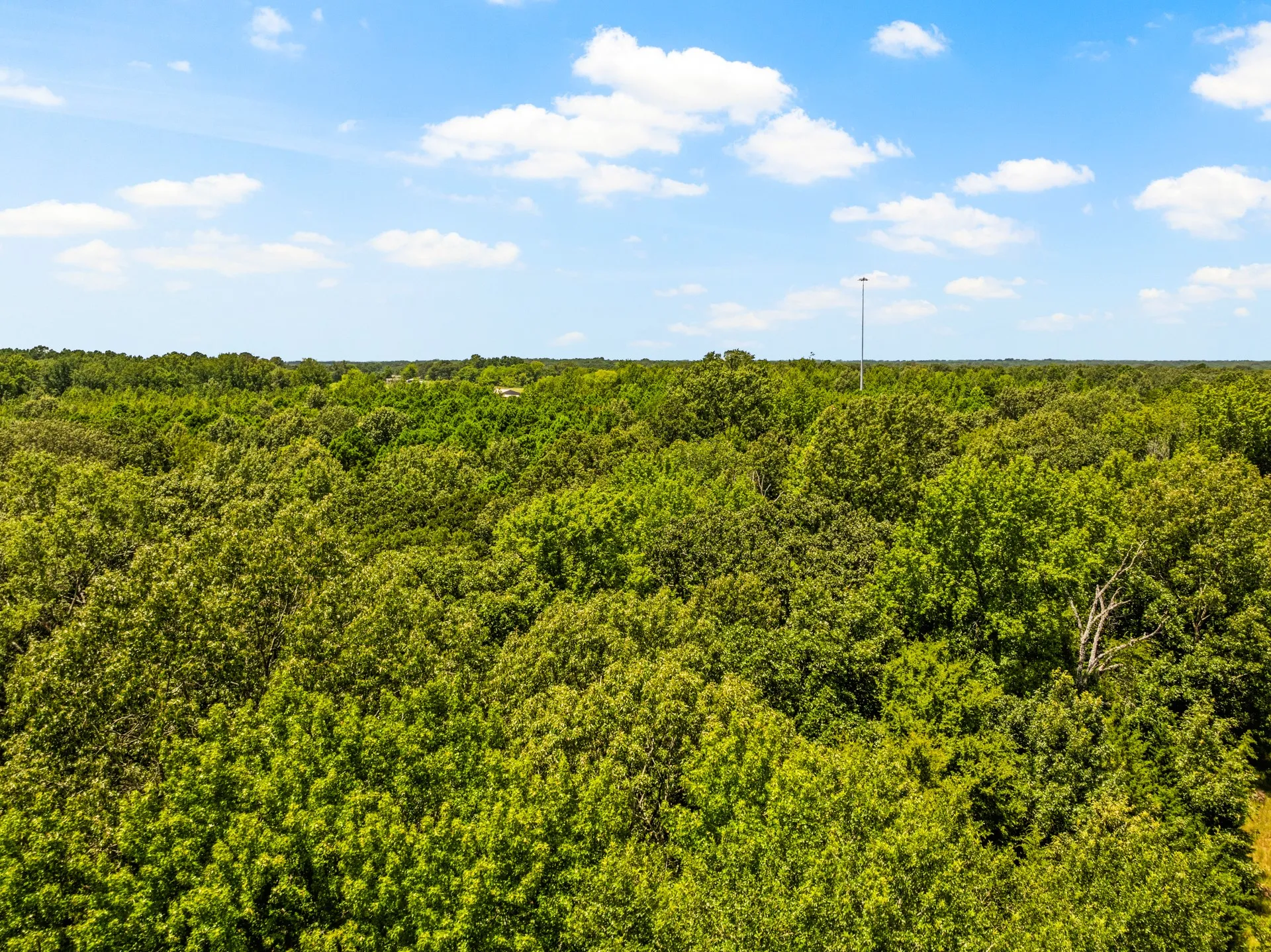 Unimproved Land For Sale in Titus County , TBD Interstate 30 TR 1, Cookville, Texas 75558, 0, 0, Garage spaces, 0 Sqft, built in 0, mls#21409433, Real Estate Agent in Cookville, Homes For Sale in Titus county, Homes For Sale in Cookville, Realtor in Cookville Texas, Real Estate Brokerage Independent Realty Texas, Luminita Cordes Realtor