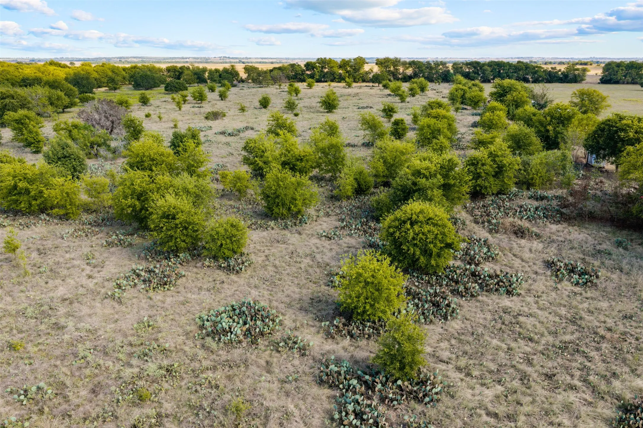 Improved Land For Sale in Coryell County , 985 County Road 339, Moody, Texas 76557, 0, 0, Garage spaces, 0 Sqft, built in 1986, mls#21409064, Real Estate Agent in Moody, Homes For Sale in Coryell county, Homes For Sale in Moody, Realtor in Moody Texas, Real Estate Brokerage Independent Realty Texas, Luminita Cordes Realtor
