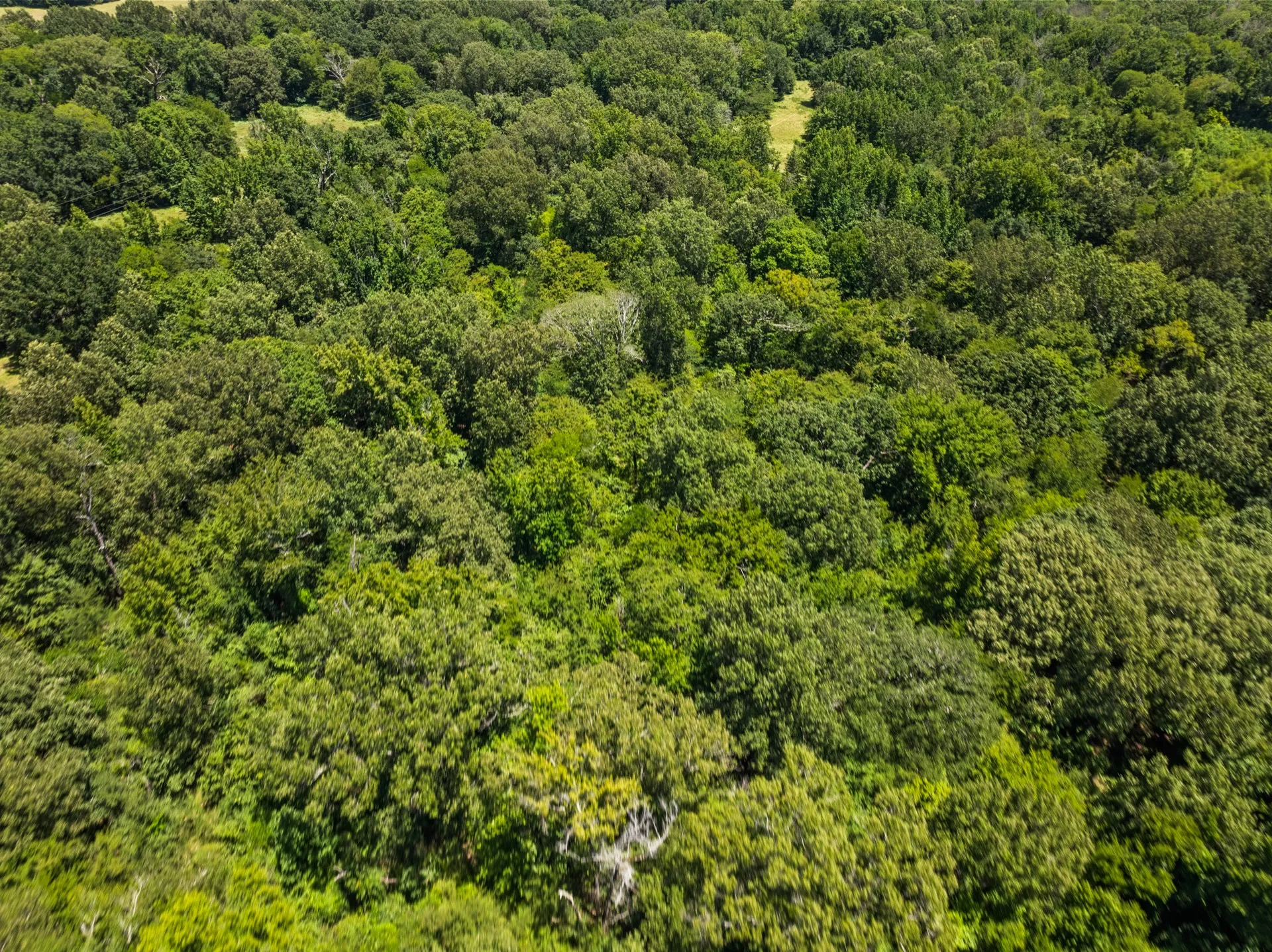 Unimproved Land For Sale in Titus County , TBD Interstate 30 TR 2, Cookville, Texas 75558, 0, 0, Garage spaces, 0 Sqft, built in 0, mls#21409451, Real Estate Agent in Cookville, Homes For Sale in Titus county, Homes For Sale in Cookville, Realtor in Cookville Texas, Real Estate Brokerage Independent Realty Texas, Luminita Cordes Realtor
