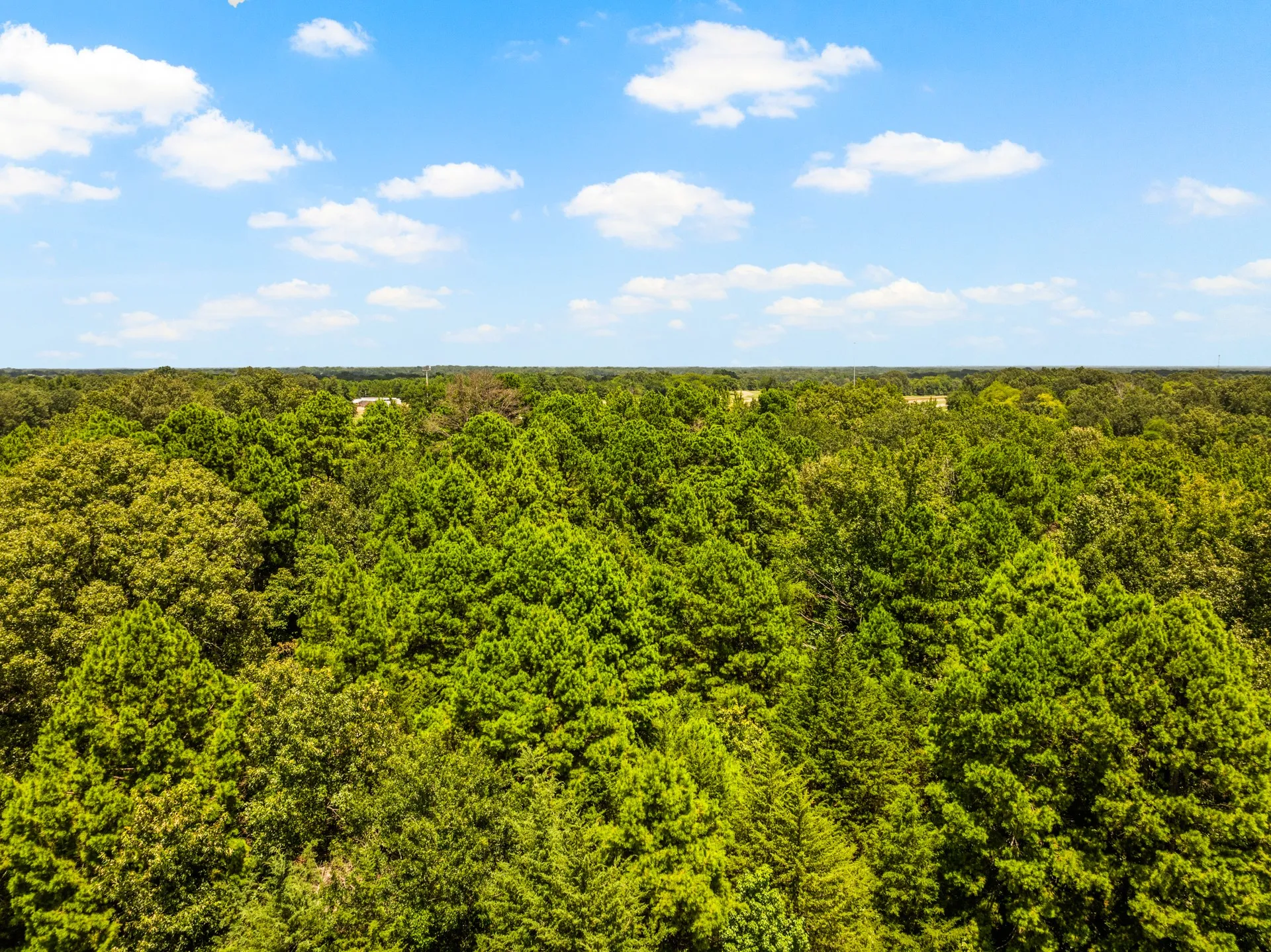 Unimproved Land For Sale in Titus County , TBD Interstate 30 TR 2, Cookville, Texas 75558, 0, 0, Garage spaces, 0 Sqft, built in 0, mls#21409451, Real Estate Agent in Cookville, Homes For Sale in Titus county, Homes For Sale in Cookville, Realtor in Cookville Texas, Real Estate Brokerage Independent Realty Texas, Luminita Cordes Realtor