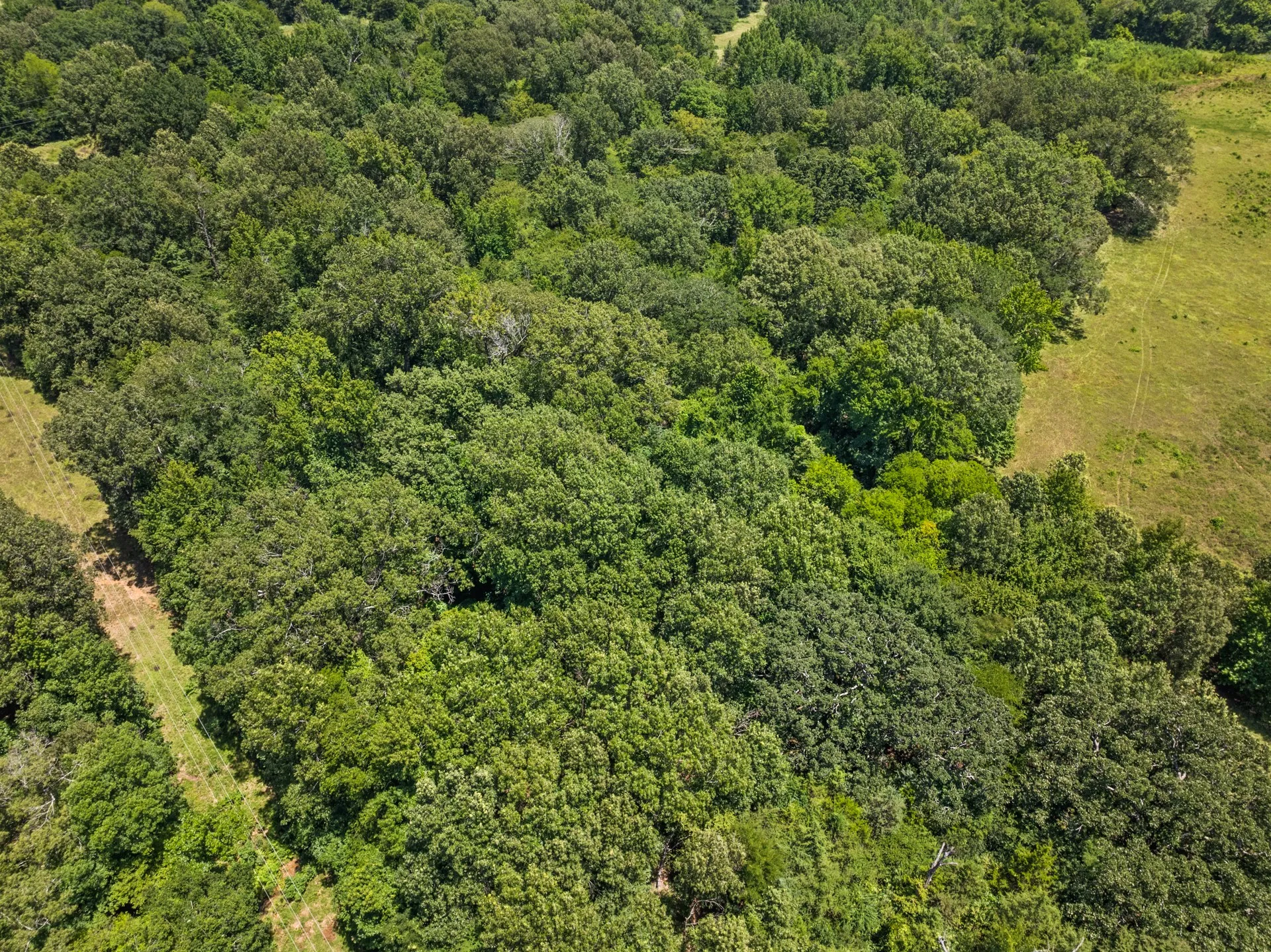 Unimproved Land For Sale in Titus County , TBD Interstate 30 TR 2, Cookville, Texas 75558, 0, 0, Garage spaces, 0 Sqft, built in 0, mls#21409451, Real Estate Agent in Cookville, Homes For Sale in Titus county, Homes For Sale in Cookville, Realtor in Cookville Texas, Real Estate Brokerage Independent Realty Texas, Luminita Cordes Realtor
