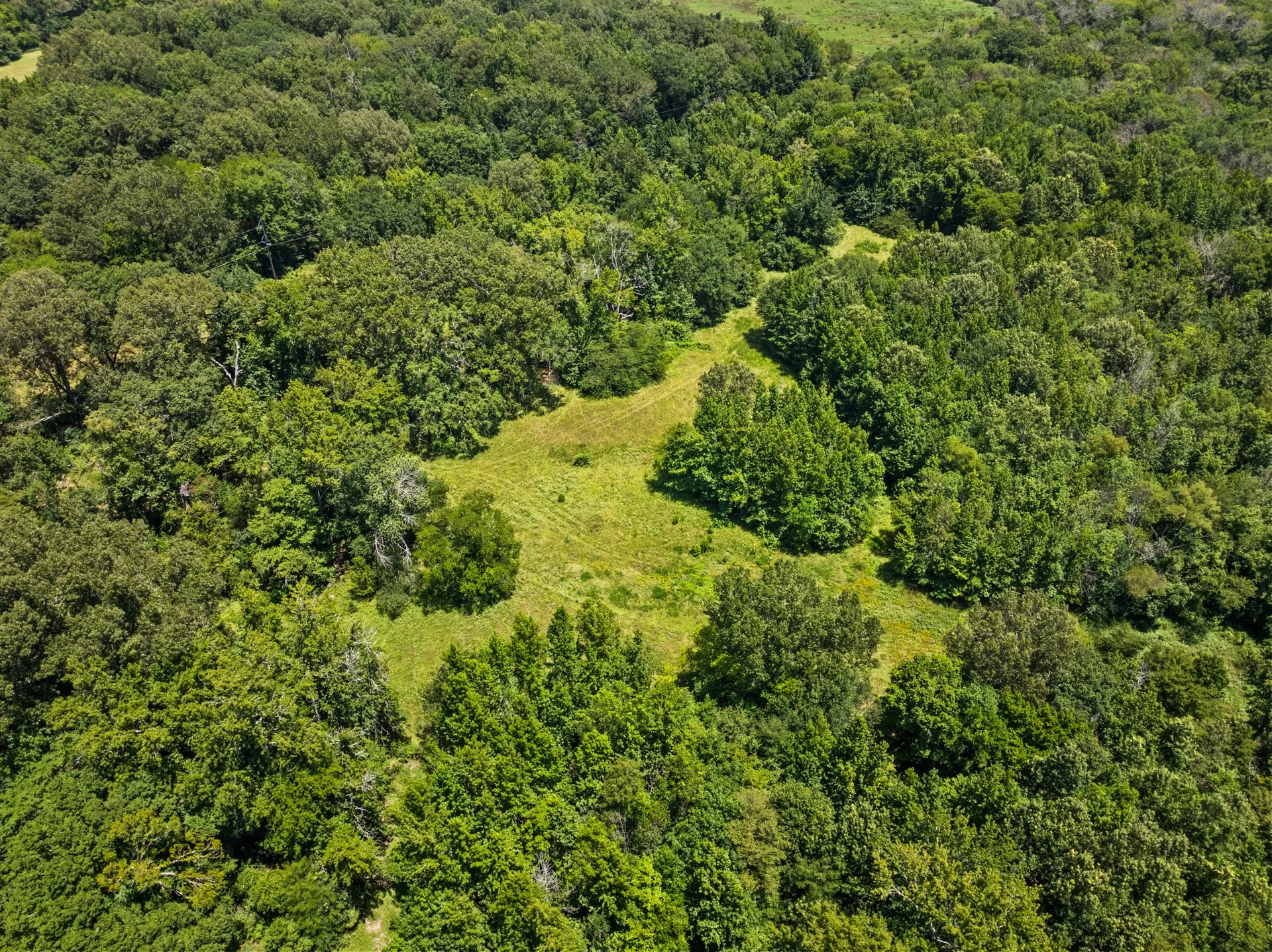 Unimproved Land For Sale in Titus County , TBD Interstate 30 TR 2, Cookville, Texas 75558, 0, 0, Garage spaces, 0 Sqft, built in 0, mls#21409451, Real Estate Agent in Cookville, Homes For Sale in Titus county, Homes For Sale in Cookville, Realtor in Cookville Texas, Real Estate Brokerage Independent Realty Texas, Luminita Cordes Realtor