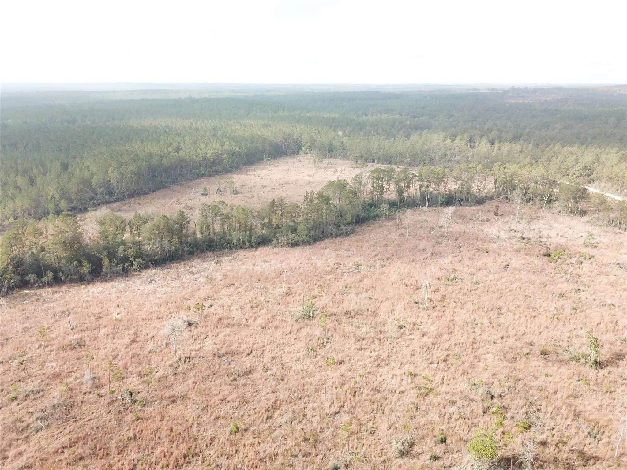Unimproved Land For Sale in Tyler County , 00 County Road 2845, Colmesneil, Texas 75938, 0, 0, Garage spaces, 0 Sqft, built in 0, mls#21409471, Real Estate Agent in Colmesneil, Homes For Sale in Tyler county, Homes For Sale in Colmesneil, Realtor in Colmesneil Texas, Real Estate Brokerage Independent Realty Texas, Luminita Cordes Realtor