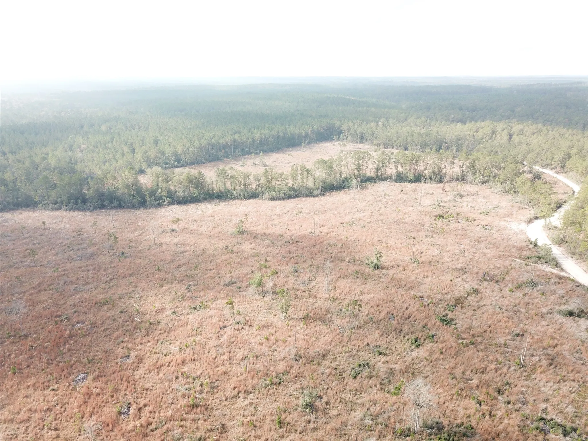 Unimproved Land For Sale in Tyler County , 00 County Road 2845, Colmesneil, Texas 75938, 0, 0, Garage spaces, 0 Sqft, built in 0, mls#21409471, Real Estate Agent in Colmesneil, Homes For Sale in Tyler county, Homes For Sale in Colmesneil, Realtor in Colmesneil Texas, Real Estate Brokerage Independent Realty Texas, Luminita Cordes Realtor