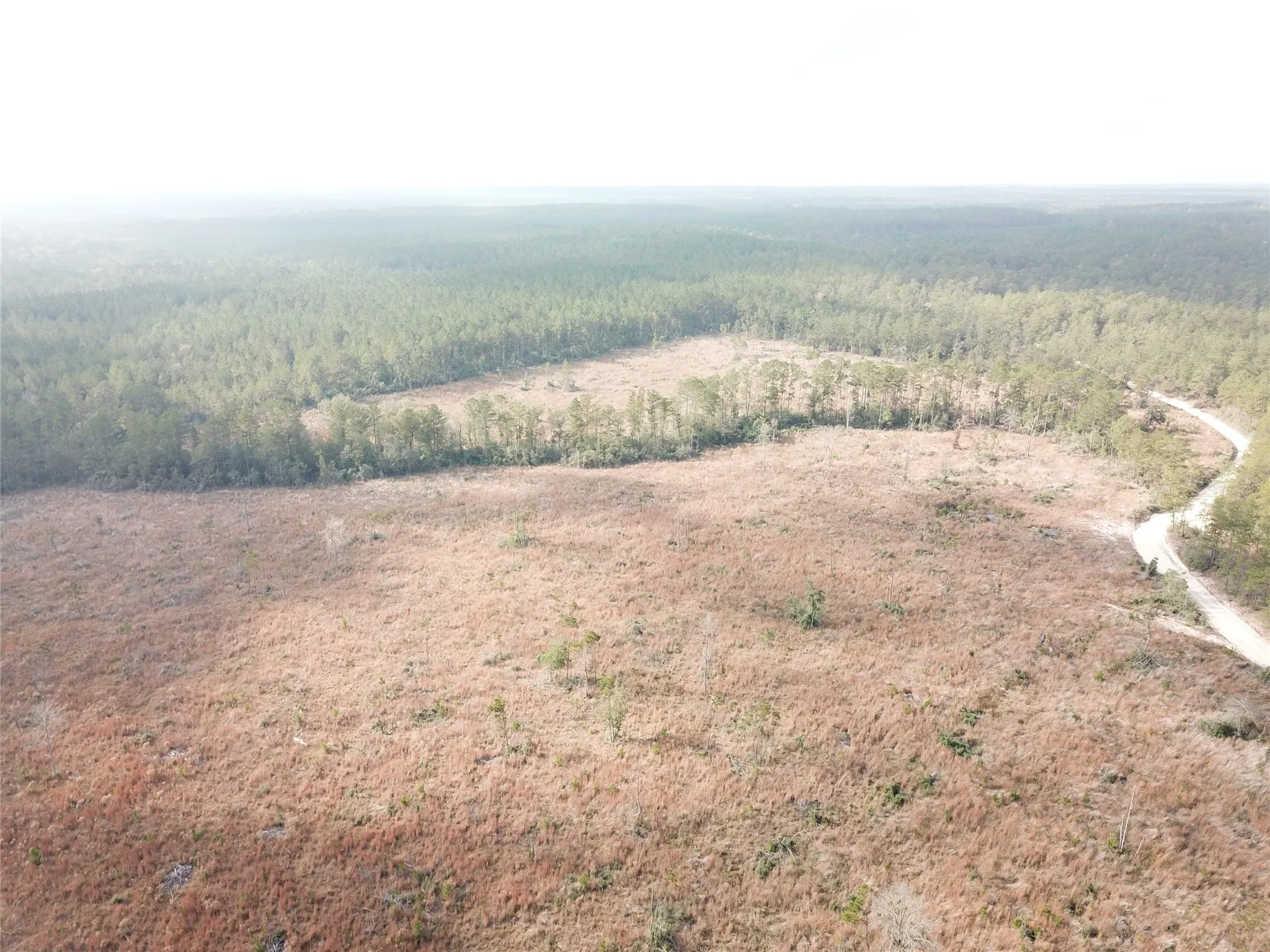 Unimproved Land For Sale in Tyler County , 00 County Road 2845, Colmesneil, Texas 75938, 0, 0, Garage spaces, 0 Sqft, built in 0, mls#21409471, Real Estate Agent in Colmesneil, Homes For Sale in Tyler county, Homes For Sale in Colmesneil, Realtor in Colmesneil Texas, Real Estate Brokerage Independent Realty Texas, Luminita Cordes Realtor