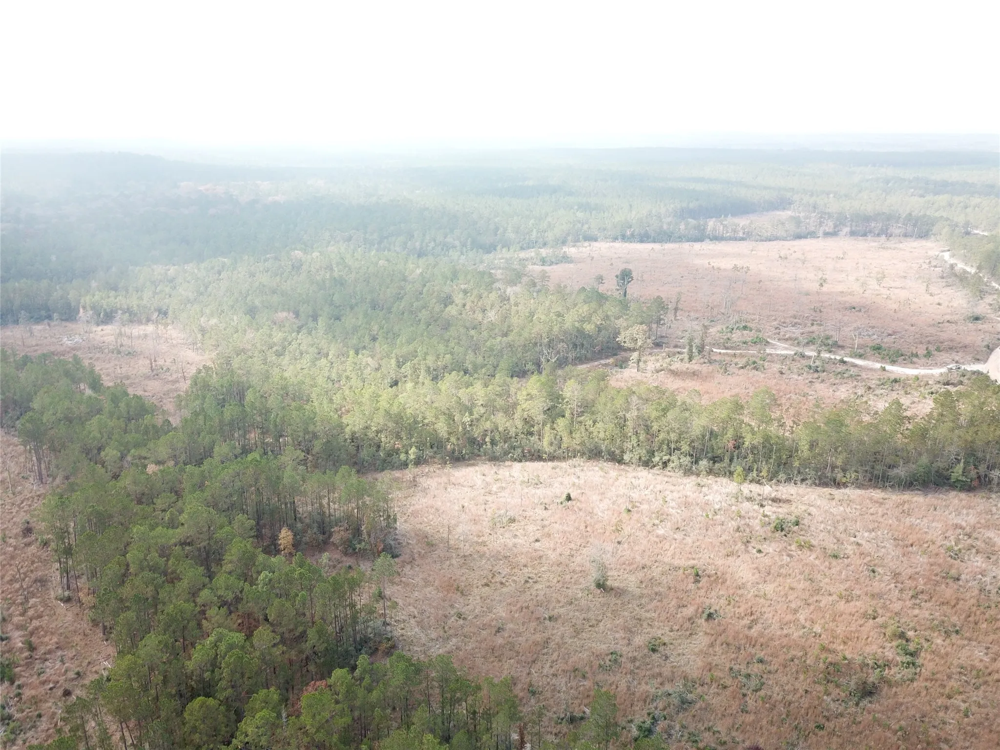 Unimproved Land For Sale in Tyler County , 00 County Road 2845, Colmesneil, Texas 75938, 0, 0, Garage spaces, 0 Sqft, built in 0, mls#21409471, Real Estate Agent in Colmesneil, Homes For Sale in Tyler county, Homes For Sale in Colmesneil, Realtor in Colmesneil Texas, Real Estate Brokerage Independent Realty Texas, Luminita Cordes Realtor