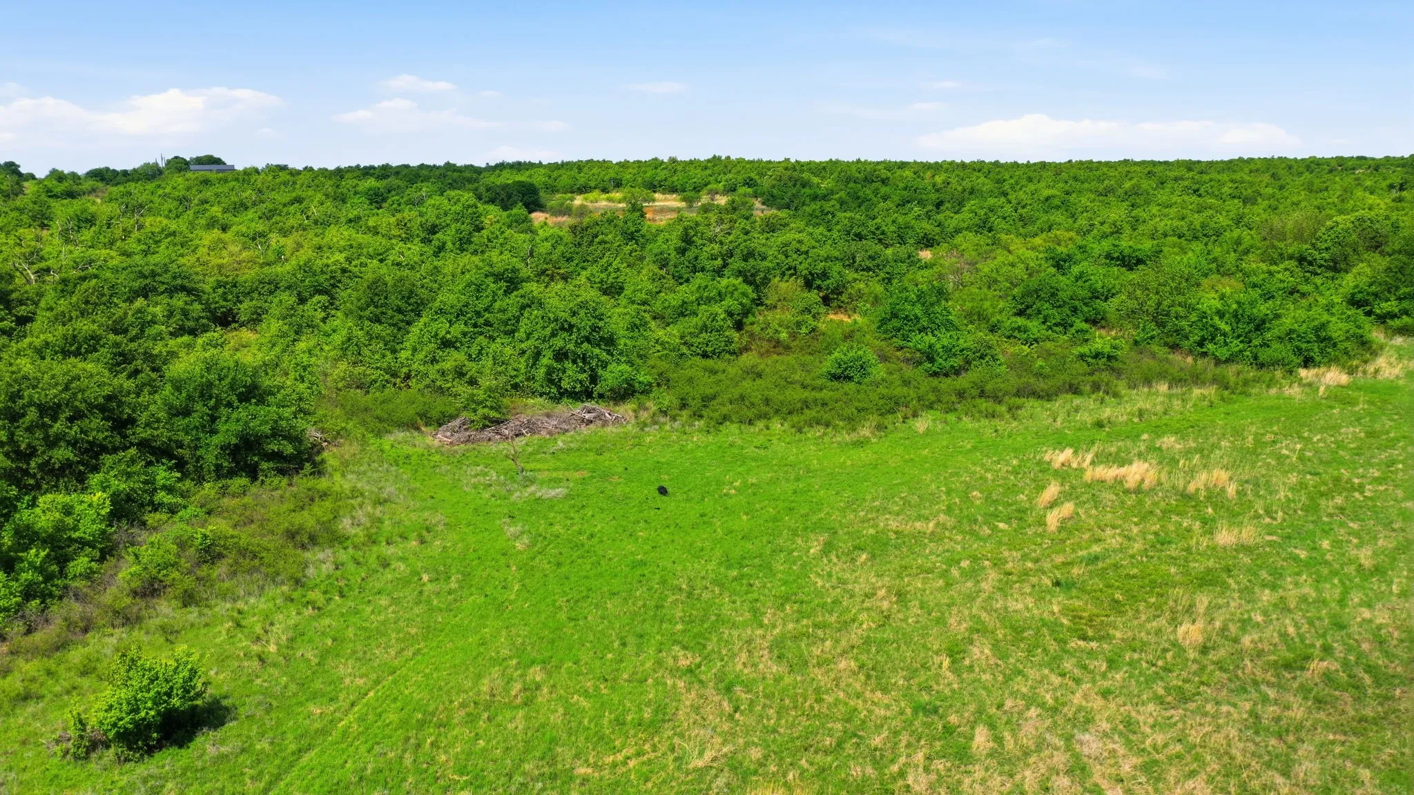 Improved Land For Sale in Jack County , 3180 Rock Creek Road, Jacksboro, Texas 76458, 0, 0, Garage spaces, 0 Sqft, built in 0, mls#21409460, Real Estate Agent in Jacksboro, Homes For Sale in Jack county, Homes For Sale in Jacksboro, Realtor in Jacksboro Texas, Real Estate Brokerage Independent Realty Texas, Luminita Cordes Realtor