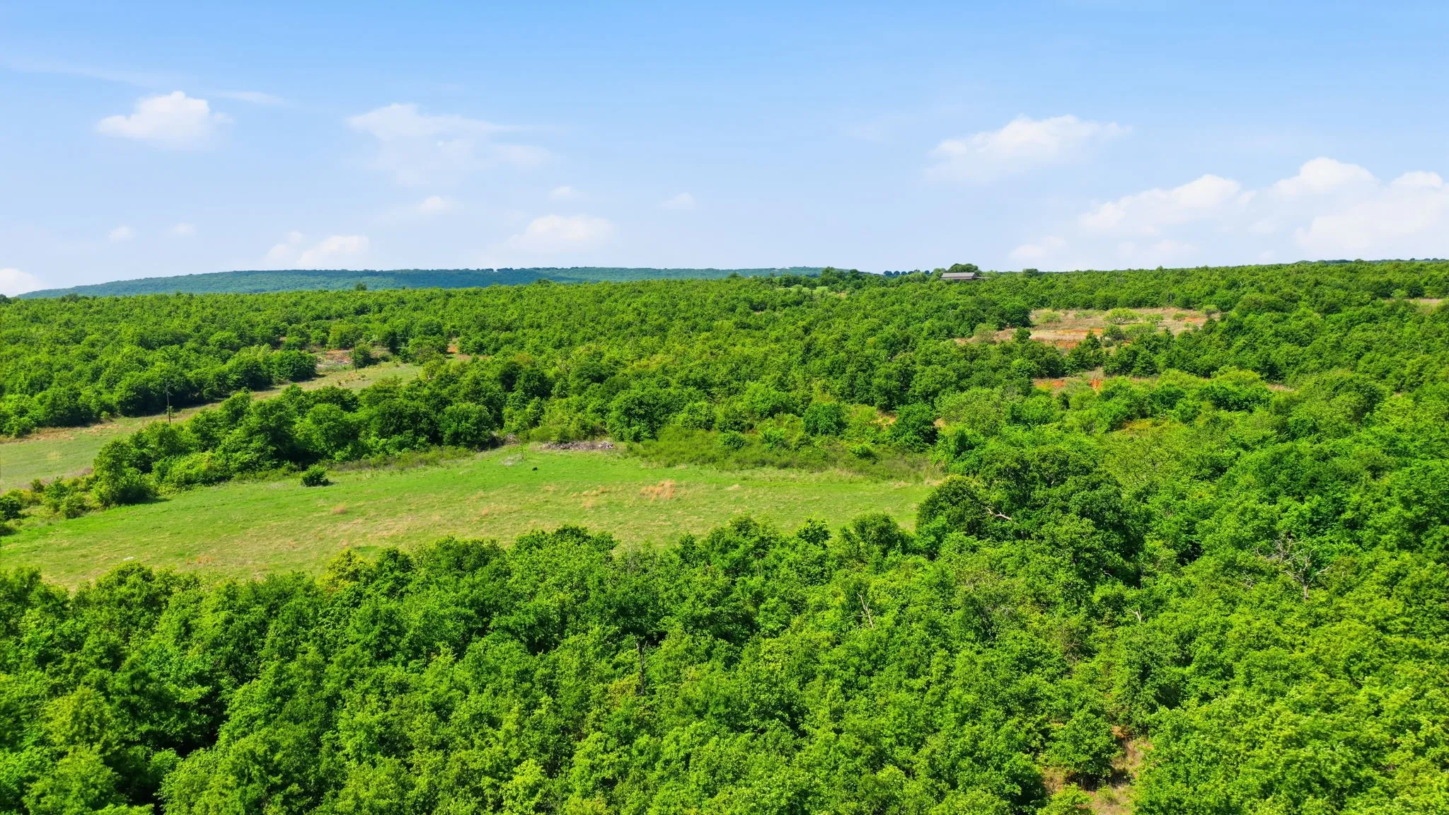 Improved Land For Sale in Jack County , 3180 Rock Creek Road, Jacksboro, Texas 76458, 0, 0, Garage spaces, 0 Sqft, built in 0, mls#21409460, Real Estate Agent in Jacksboro, Homes For Sale in Jack county, Homes For Sale in Jacksboro, Realtor in Jacksboro Texas, Real Estate Brokerage Independent Realty Texas, Luminita Cordes Realtor