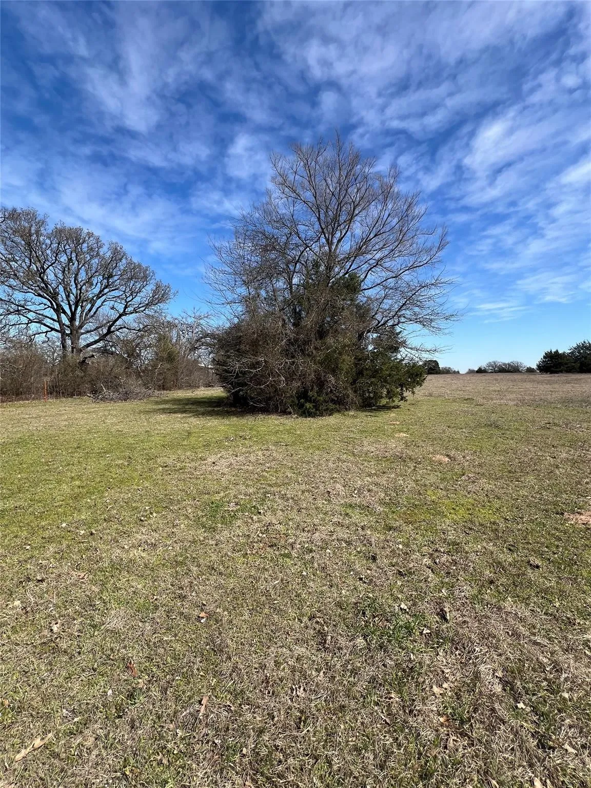 Unimproved Land For Sale in Kaufman County , 0000 Cr-4095, Kaufman, Texas 75142, 0, 0, Garage spaces, 0 Sqft, built in 0, mls#21409407, Real Estate Agent in Kaufman, Homes For Sale in Kaufman county, Homes For Sale in Kaufman, Realtor in Kaufman Texas, Real Estate Brokerage Independent Realty Texas, Luminita Cordes Realtor