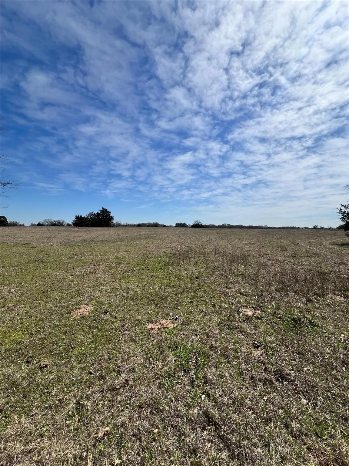 Unimproved Land For Sale in Kaufman County , 0000 Cr-4095, Kaufman, Texas 75142, 0, 0, Garage spaces, 0 Sqft, built in 0, mls#21409407, Real Estate Agent in Kaufman, Homes For Sale in Kaufman county, Homes For Sale in Kaufman, Realtor in Kaufman Texas, Real Estate Brokerage Independent Realty Texas, Luminita Cordes Realtor