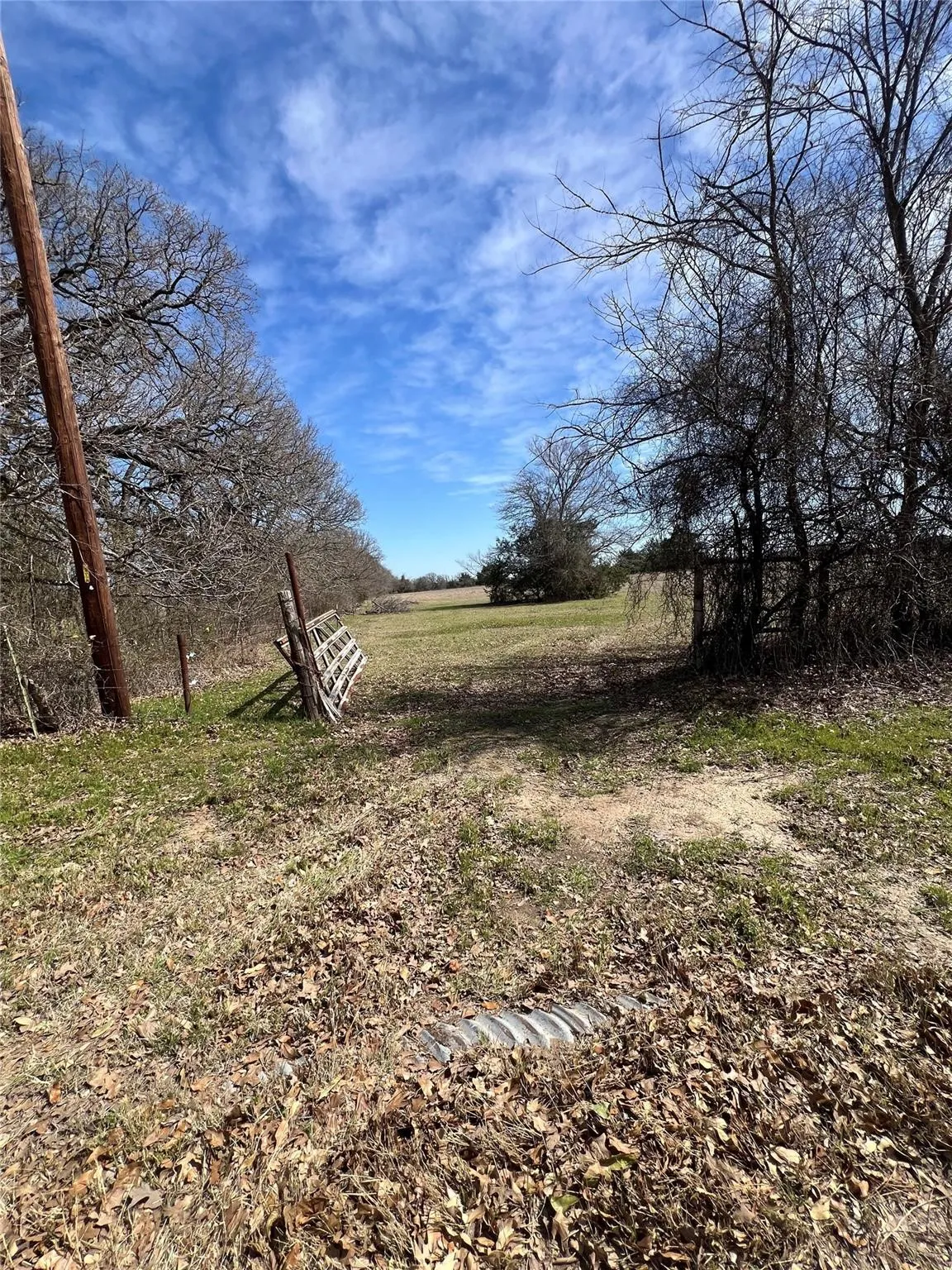 Unimproved Land For Sale in Kaufman County , 0000 Cr-4095, Kaufman, Texas 75142, 0, 0, Garage spaces, 0 Sqft, built in 0, mls#21409407, Real Estate Agent in Kaufman, Homes For Sale in Kaufman county, Homes For Sale in Kaufman, Realtor in Kaufman Texas, Real Estate Brokerage Independent Realty Texas, Luminita Cordes Realtor