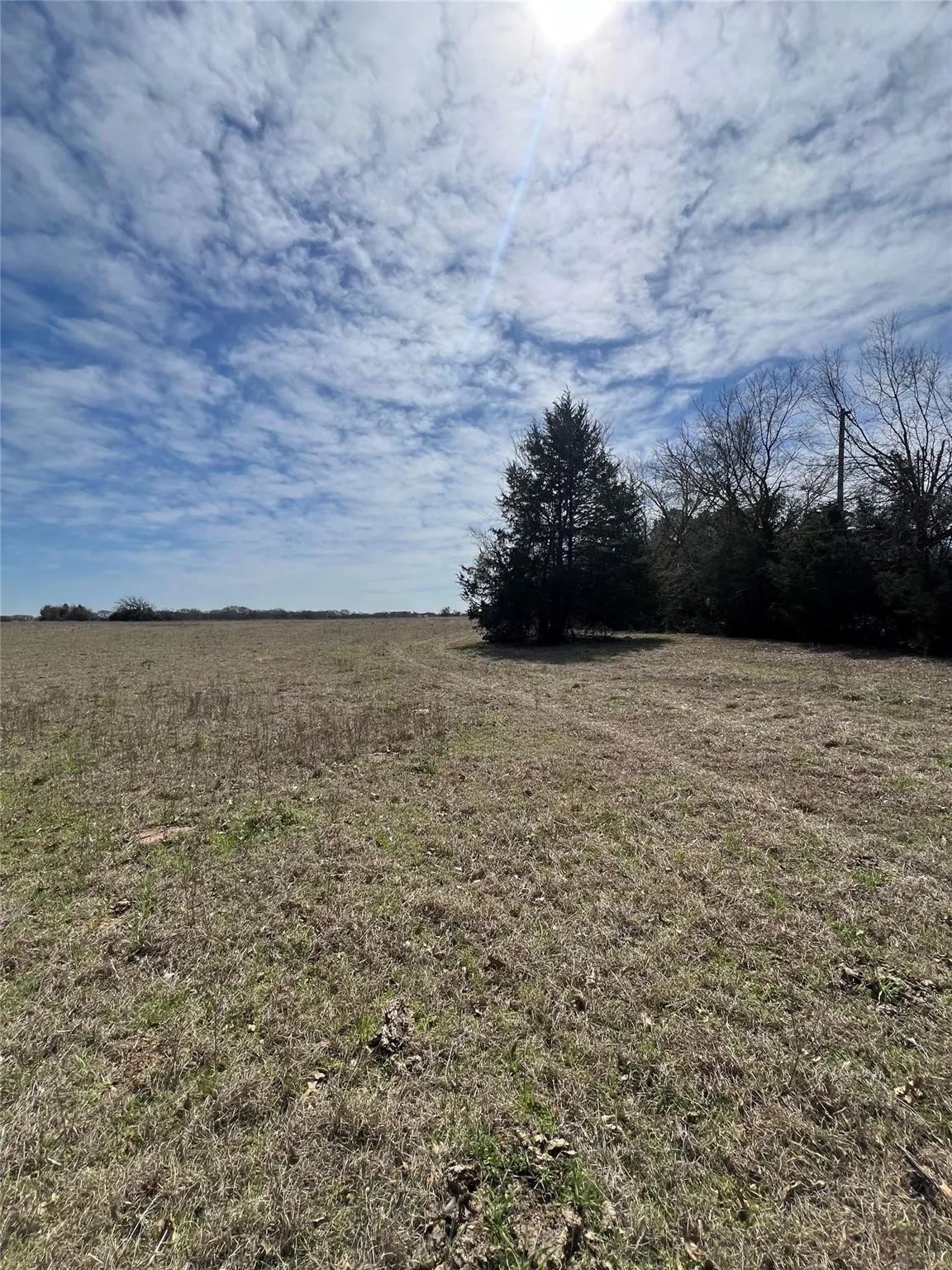 Unimproved Land For Sale in Kaufman County , 0000 Cr-4095, Kaufman, Texas 75142, 0, 0, Garage spaces, 0 Sqft, built in 0, mls#21409407, Real Estate Agent in Kaufman, Homes For Sale in Kaufman county, Homes For Sale in Kaufman, Realtor in Kaufman Texas, Real Estate Brokerage Independent Realty Texas, Luminita Cordes Realtor