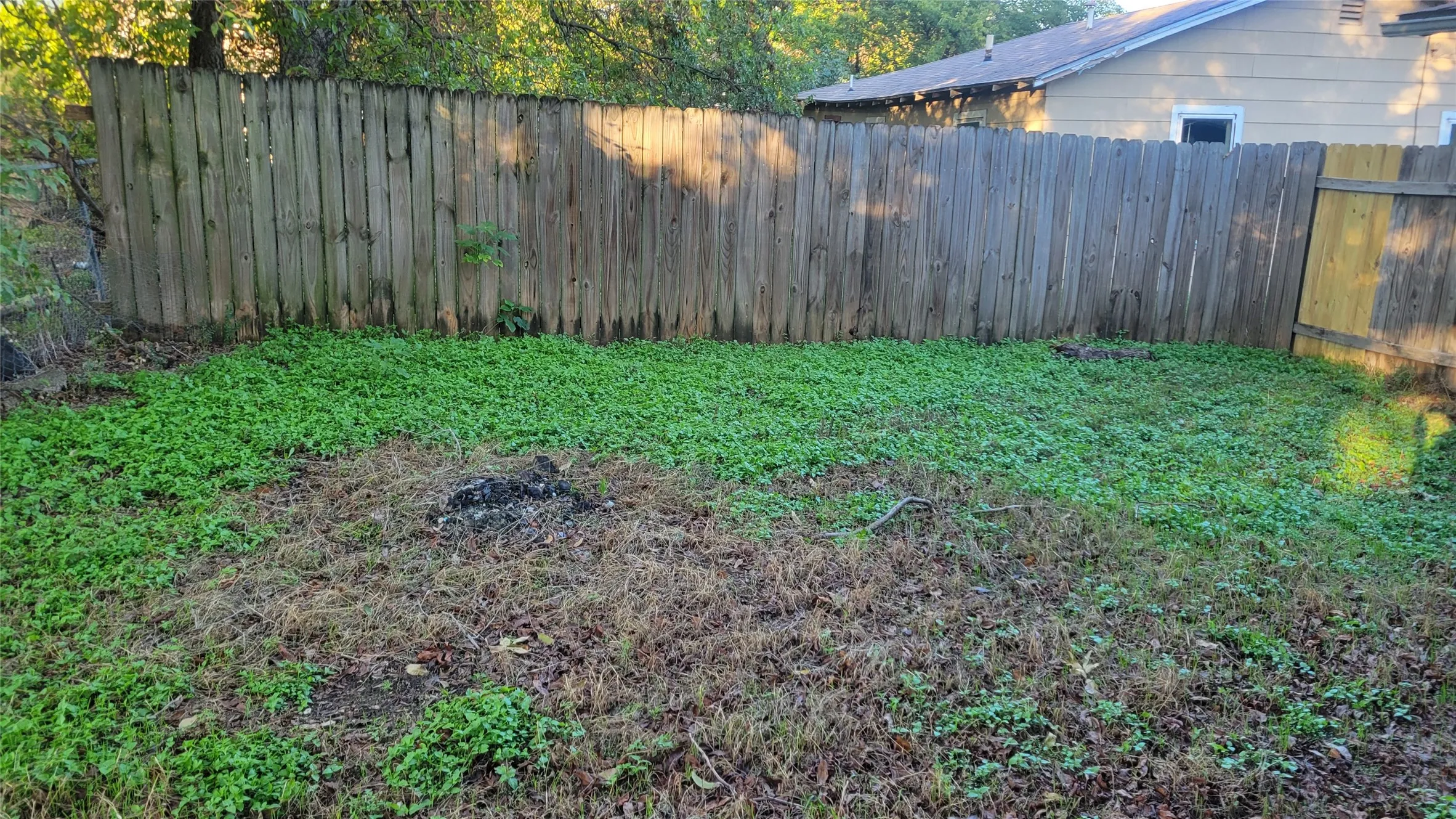 Single Family Residence For Rent in Erath County , 1092 W Elm Street, Stephenville, Texas 76401, 3 Bedroom, 2 Bathroom, Garage spaces, 1,388 Sqft, built in 1960, mls#21409542, Real Estate Agent in Stephenville, Homes For Rent in Erath county, Homes For Rent in Stephenville, Realtor in Stephenville Texas, Real Estate Brokerage Independent Realty Texas, Luminita Cordes Realtor