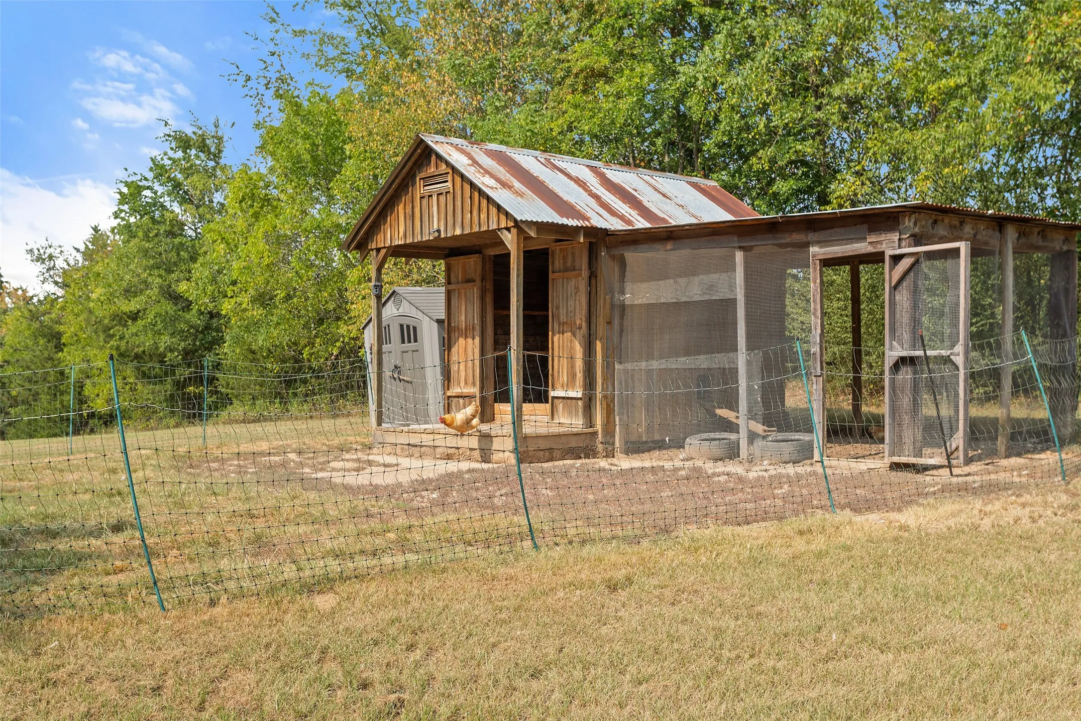 Wood-sided structure with a corrugated metal roof and an attached screened enclosure