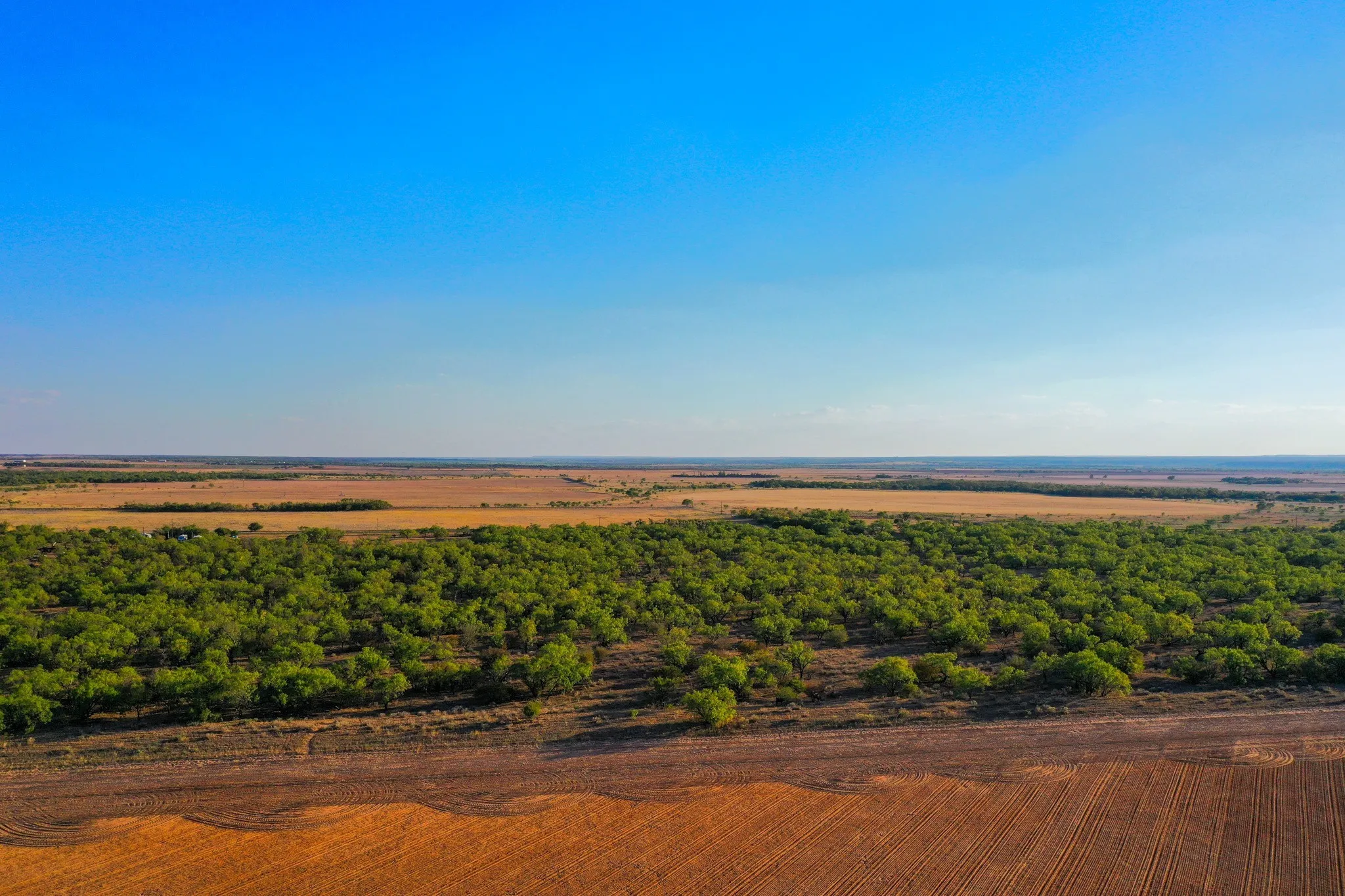 Ranch For Sale in Haskell County , TBD FM 2279, Rochester, Texas 79544, 0, 0, Garage spaces, 0 Sqft, built in 0, mls#21404706, Real Estate Agent in Rochester, Homes For Sale in Haskell county, Homes For Sale in Rochester, Realtor in Rochester Texas, Real Estate Brokerage Independent Realty Texas, Luminita Cordes Realtor