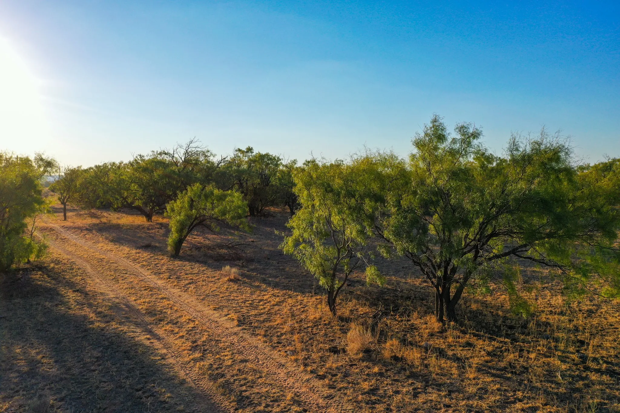 Ranch For Sale in Haskell County , TBD FM 2279, Rochester, Texas 79544, 0, 0, Garage spaces, 0 Sqft, built in 0, mls#21404706, Real Estate Agent in Rochester, Homes For Sale in Haskell county, Homes For Sale in Rochester, Realtor in Rochester Texas, Real Estate Brokerage Independent Realty Texas, Luminita Cordes Realtor