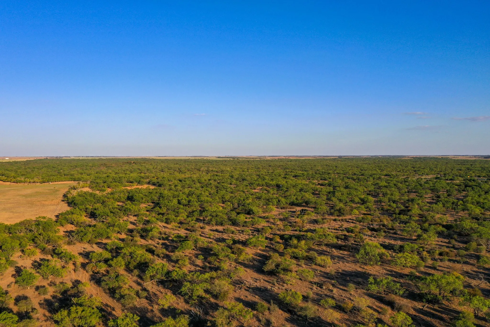 Ranch For Sale in Haskell County , TBD FM 2279, Rochester, Texas 79544, 0, 0, Garage spaces, 0 Sqft, built in 0, mls#21404706, Real Estate Agent in Rochester, Homes For Sale in Haskell county, Homes For Sale in Rochester, Realtor in Rochester Texas, Real Estate Brokerage Independent Realty Texas, Luminita Cordes Realtor
